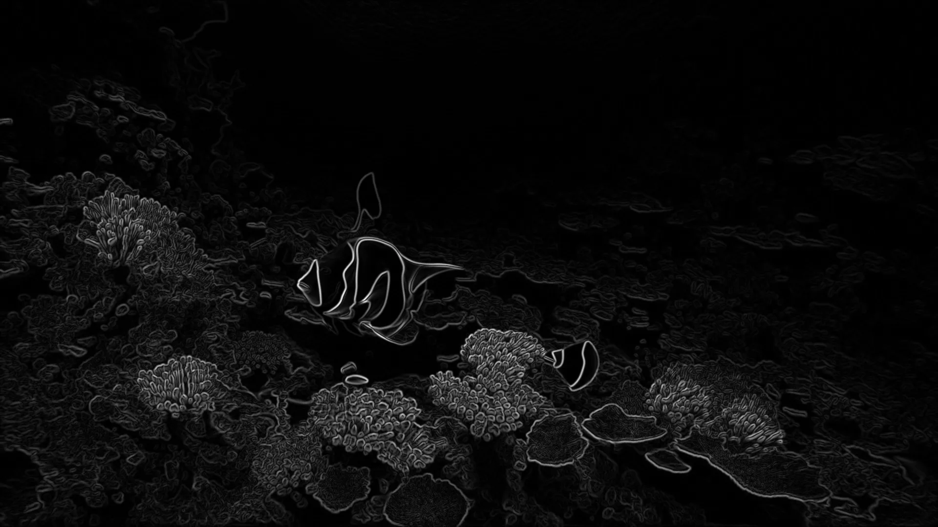 depth map