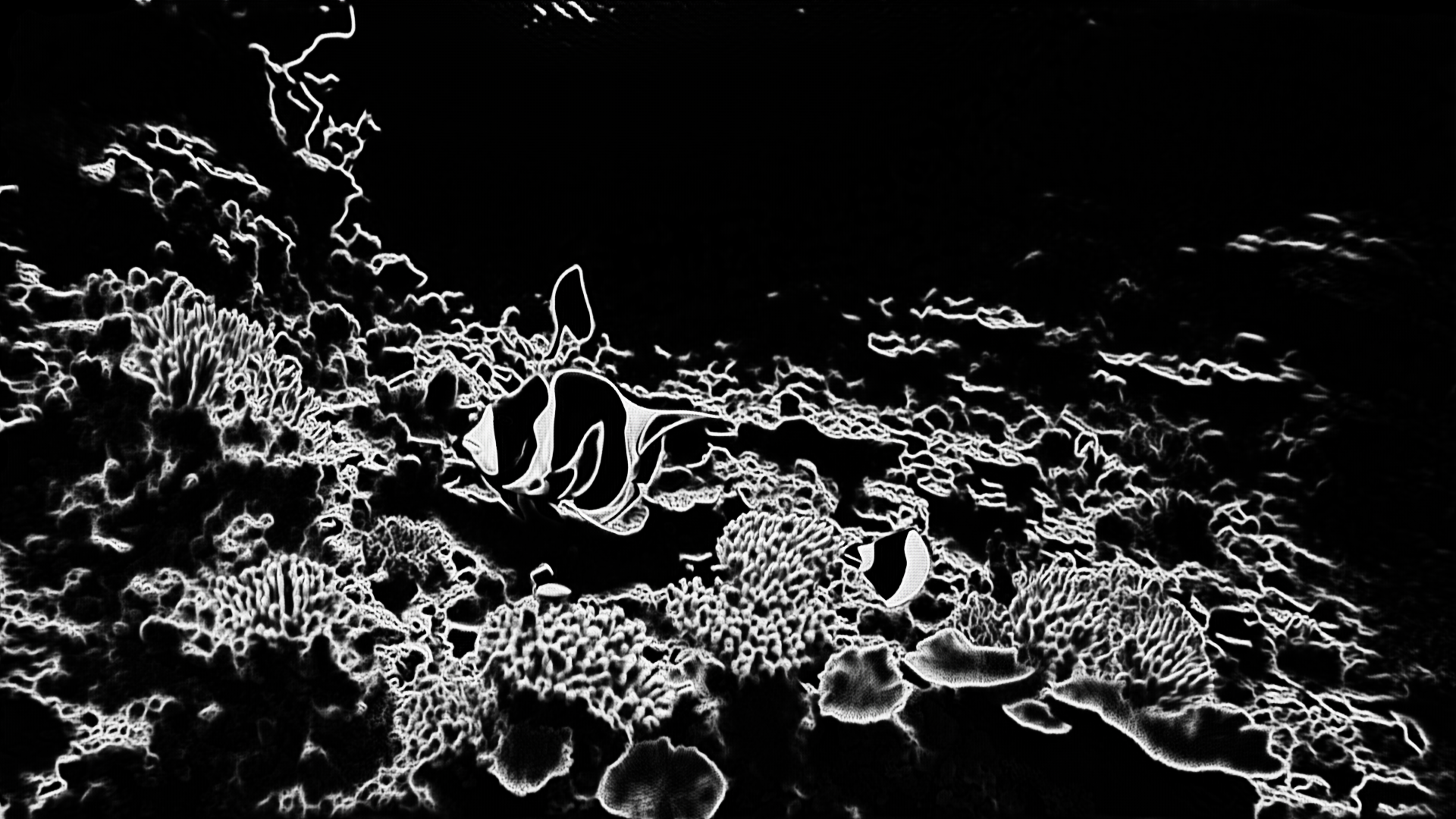 depth map