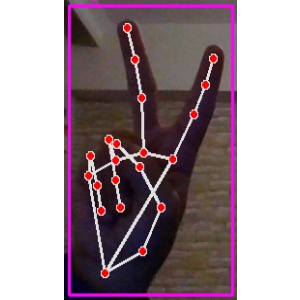 V