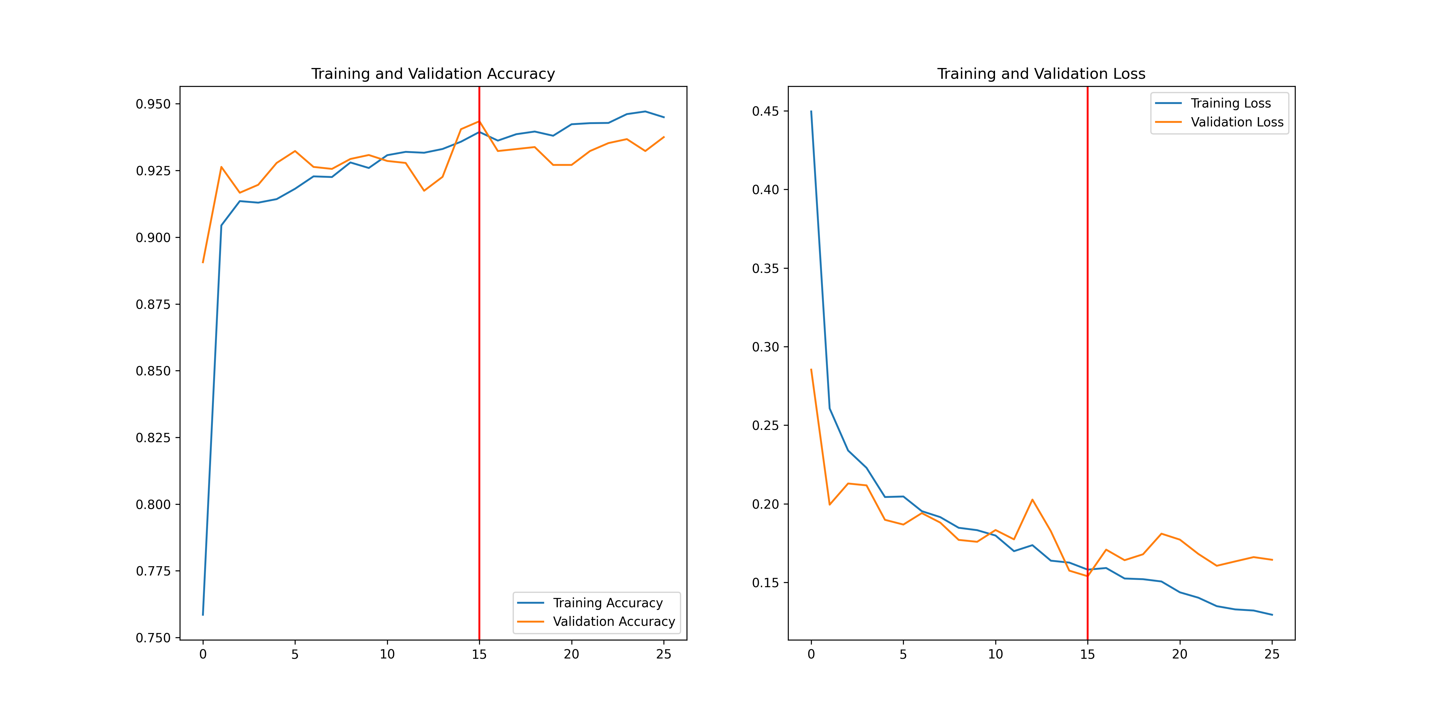 Training Curve