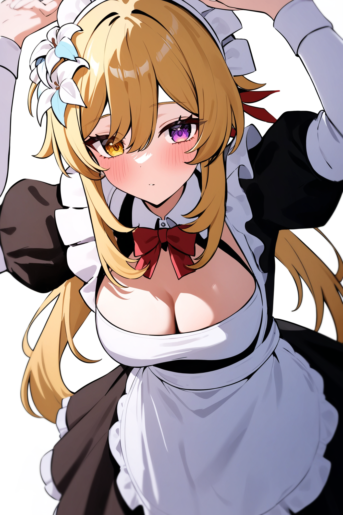 maid_1.png
