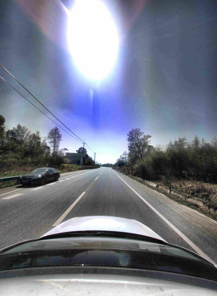 Forward View