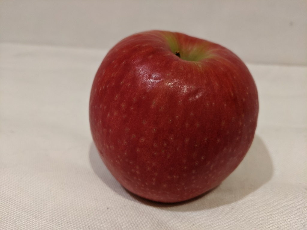 apple1.jpg