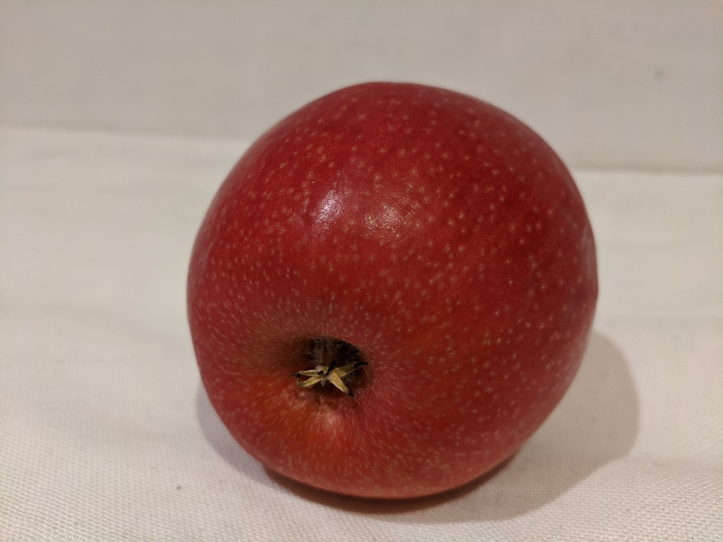 apple3.jpg
