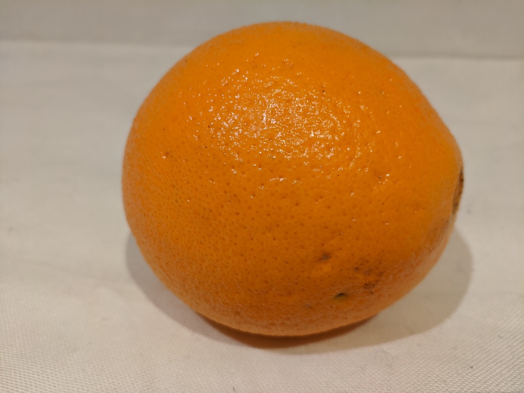 orange1.jpg