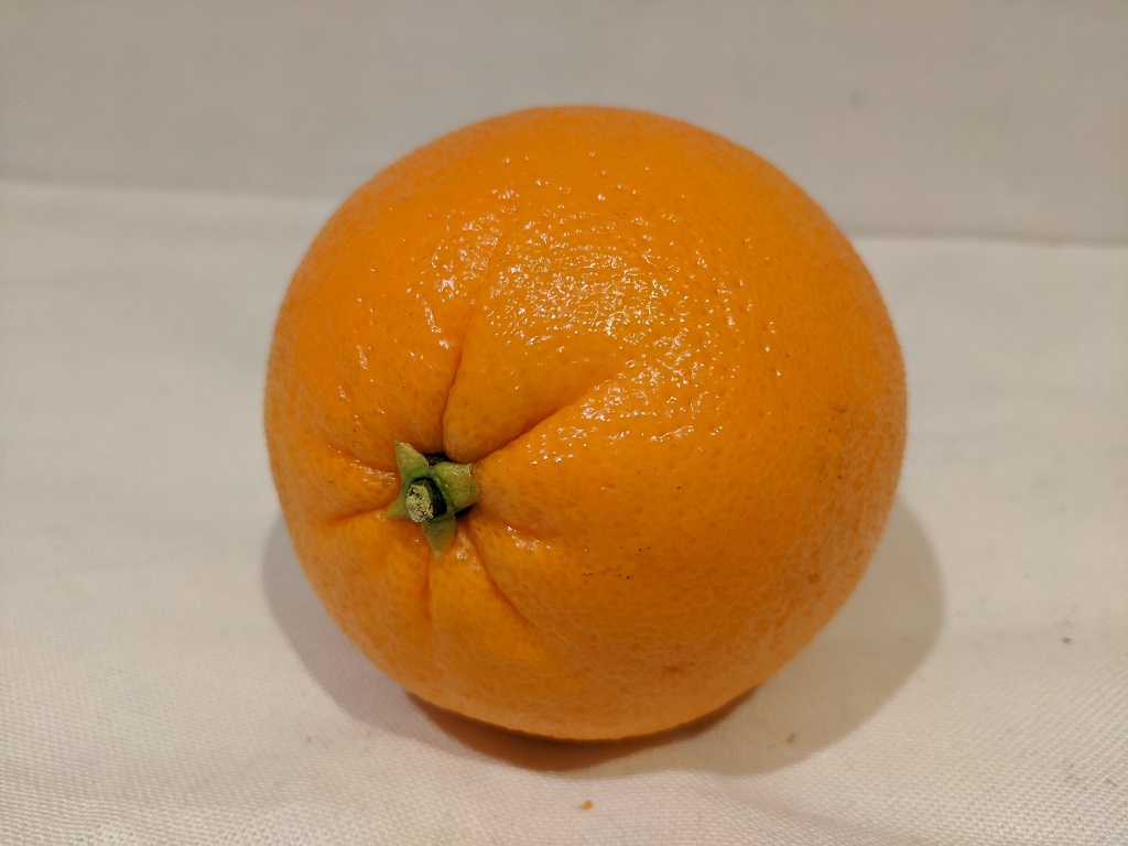 orange3.jpg