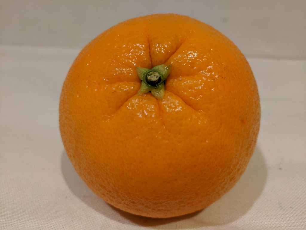 orange4.jpg