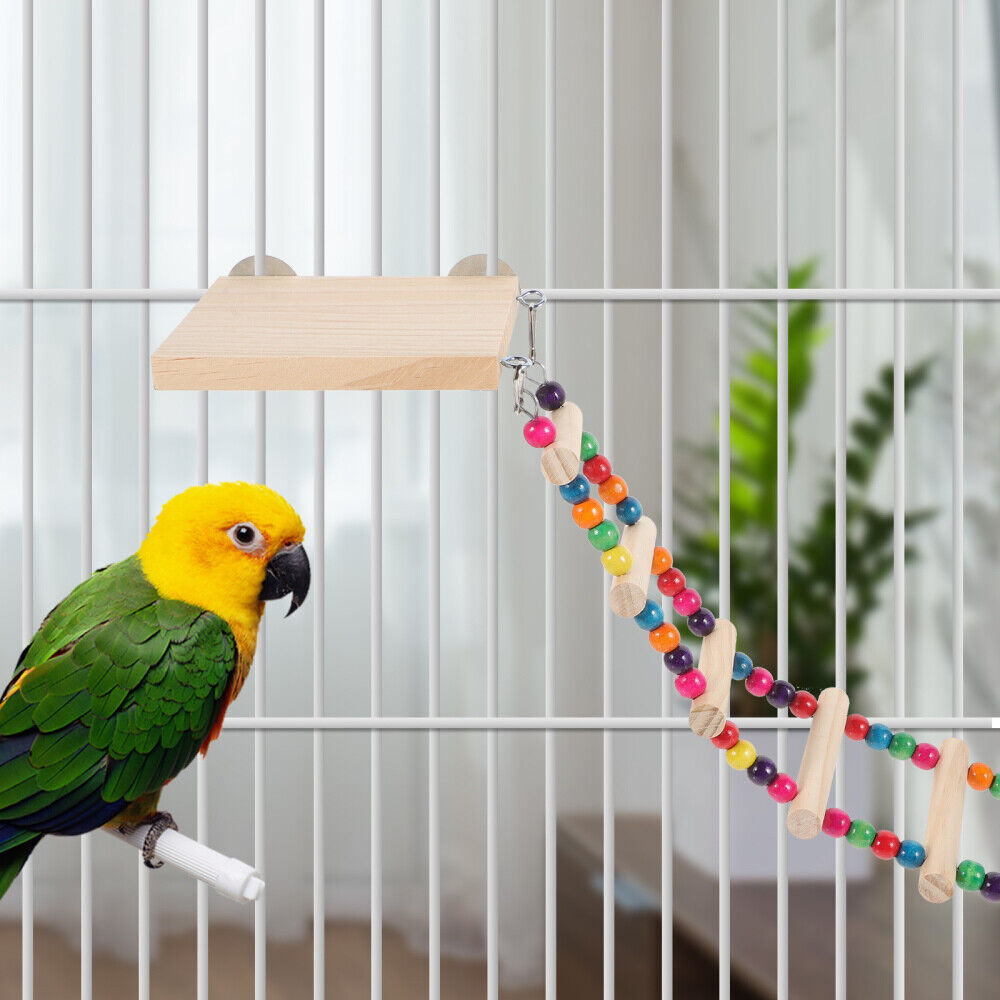 Budgerigar (123).jpg