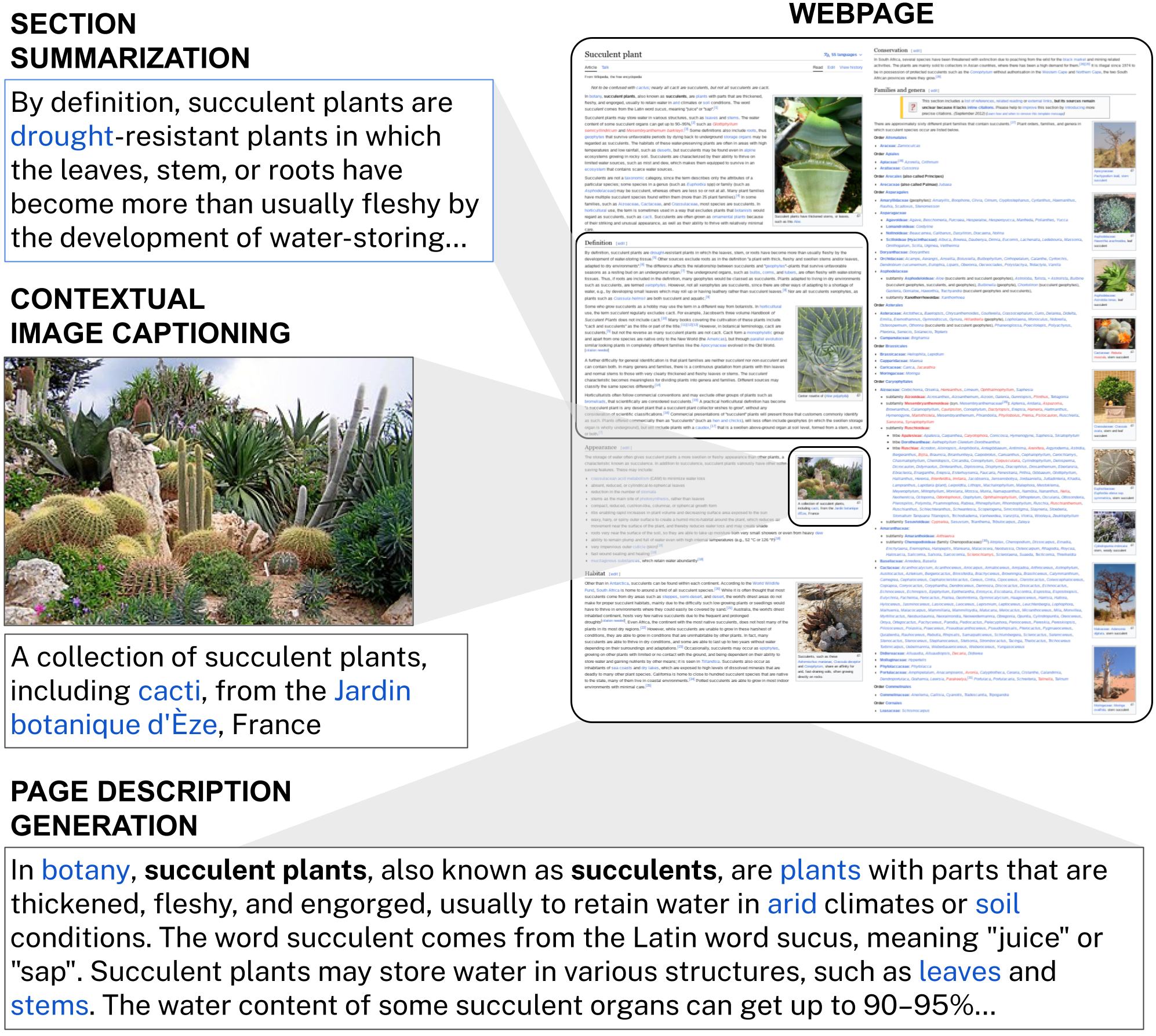 Illustration of Succulents Wikipedia Article being used for page description generation, section summarization, and contextual image captioning