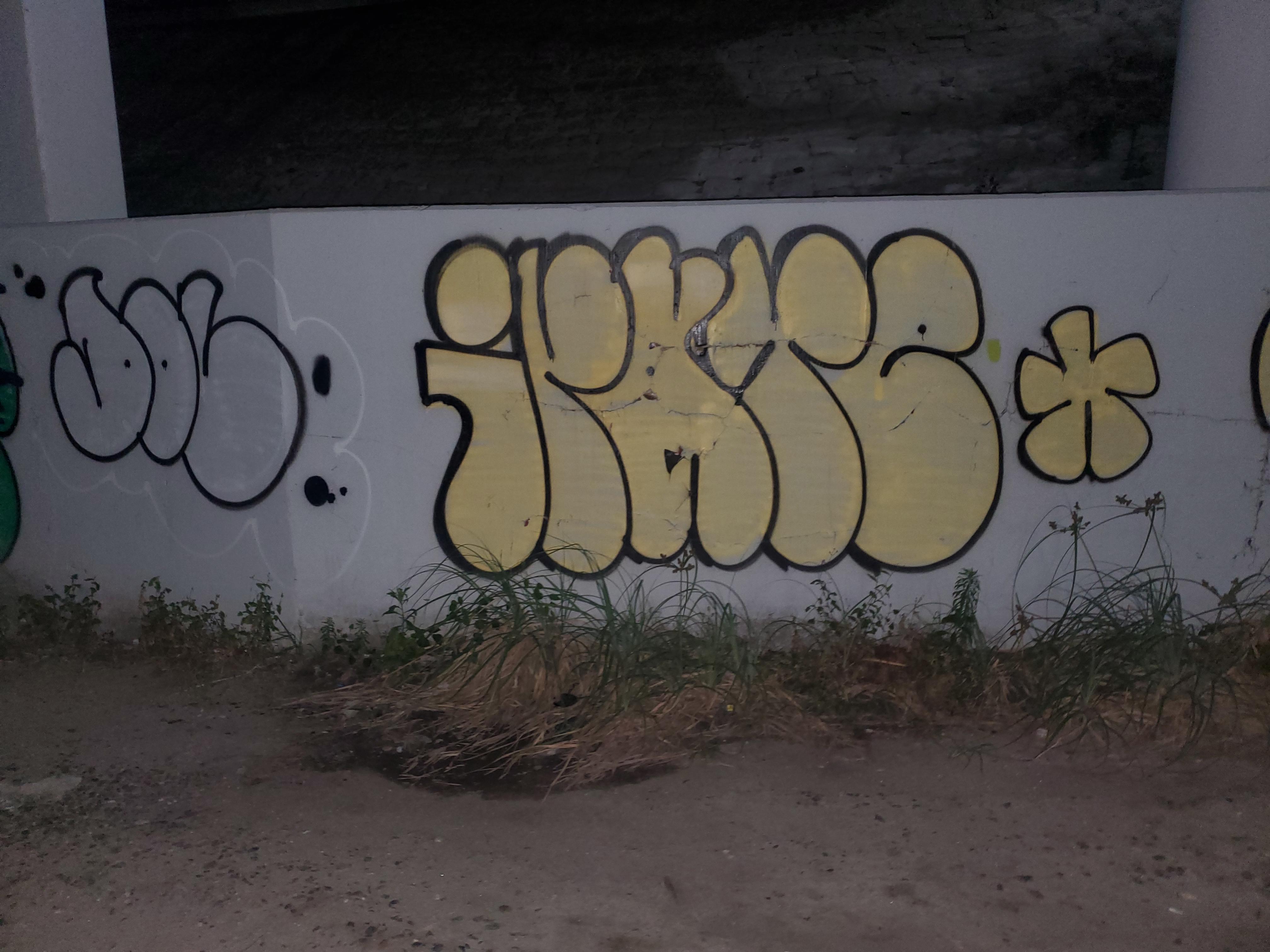 0q5kwxir741d1.jpeg