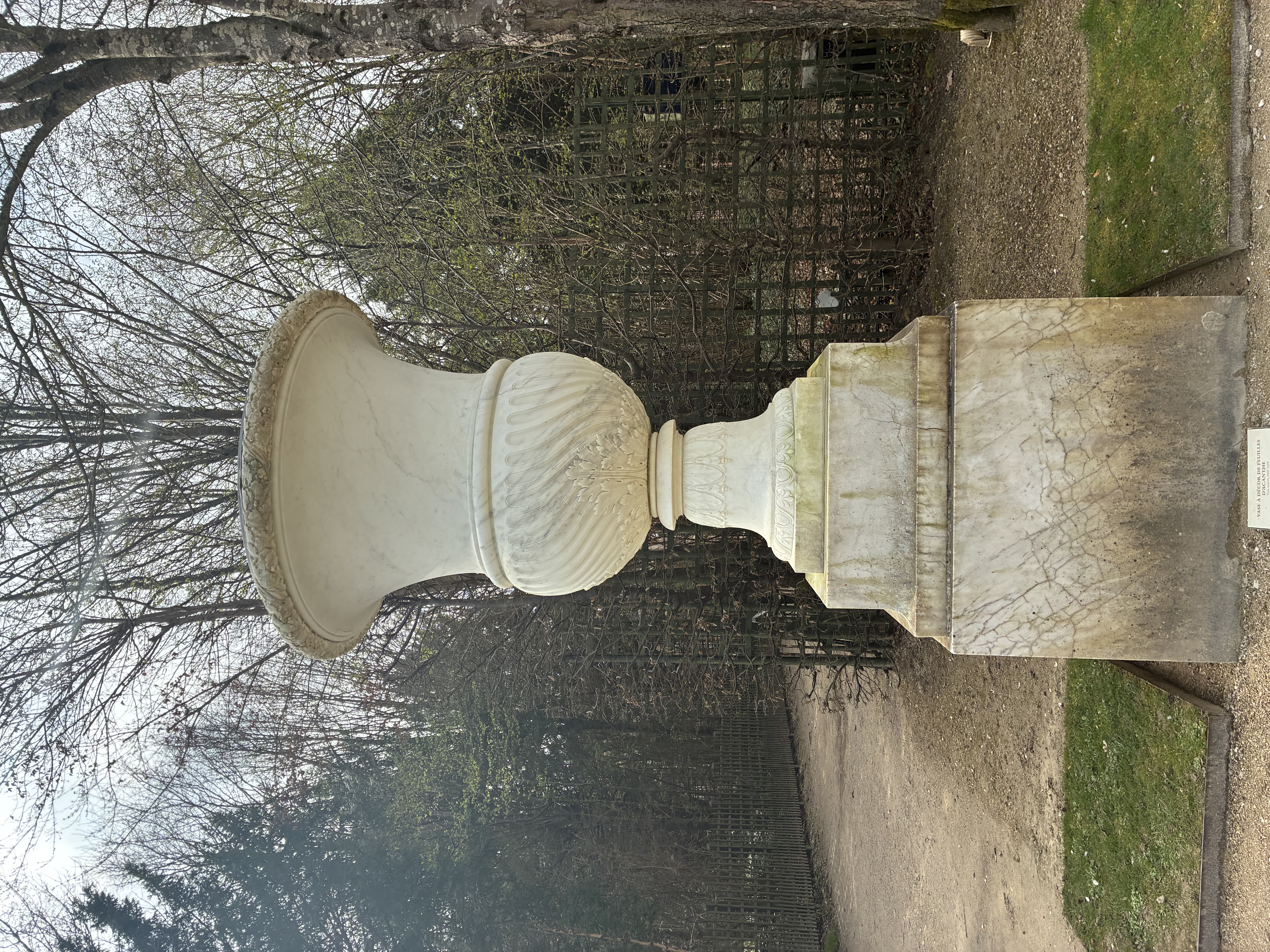 IMG_3011.jpeg