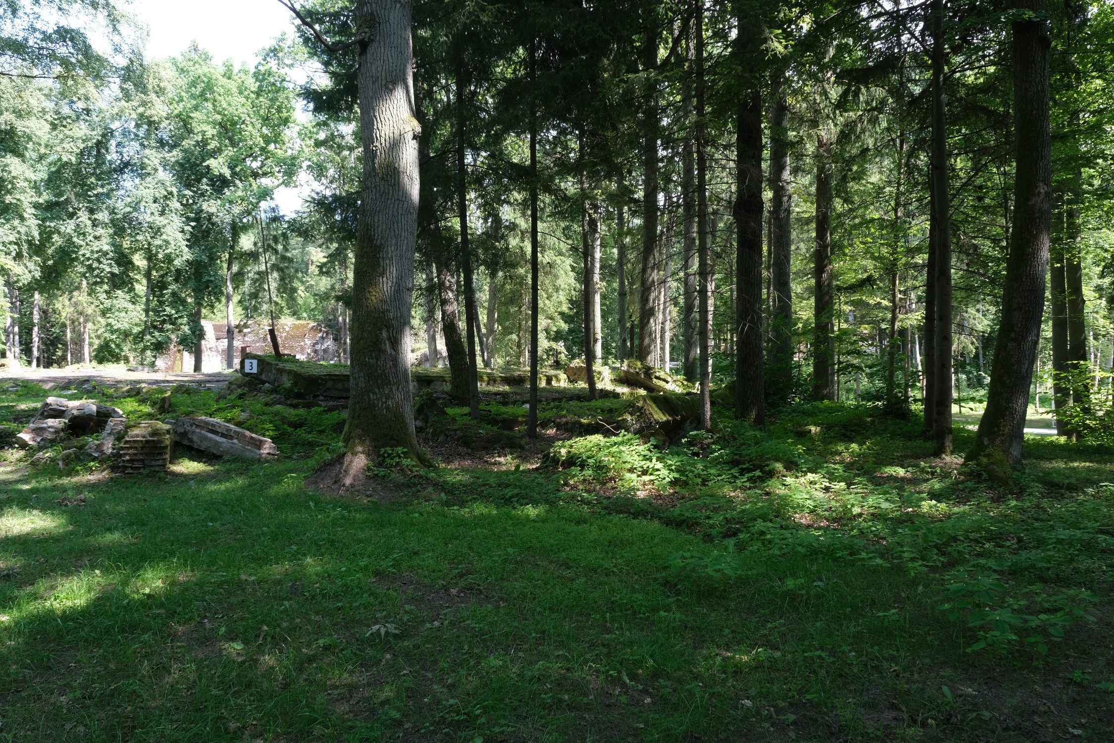 sa_39432.jpg