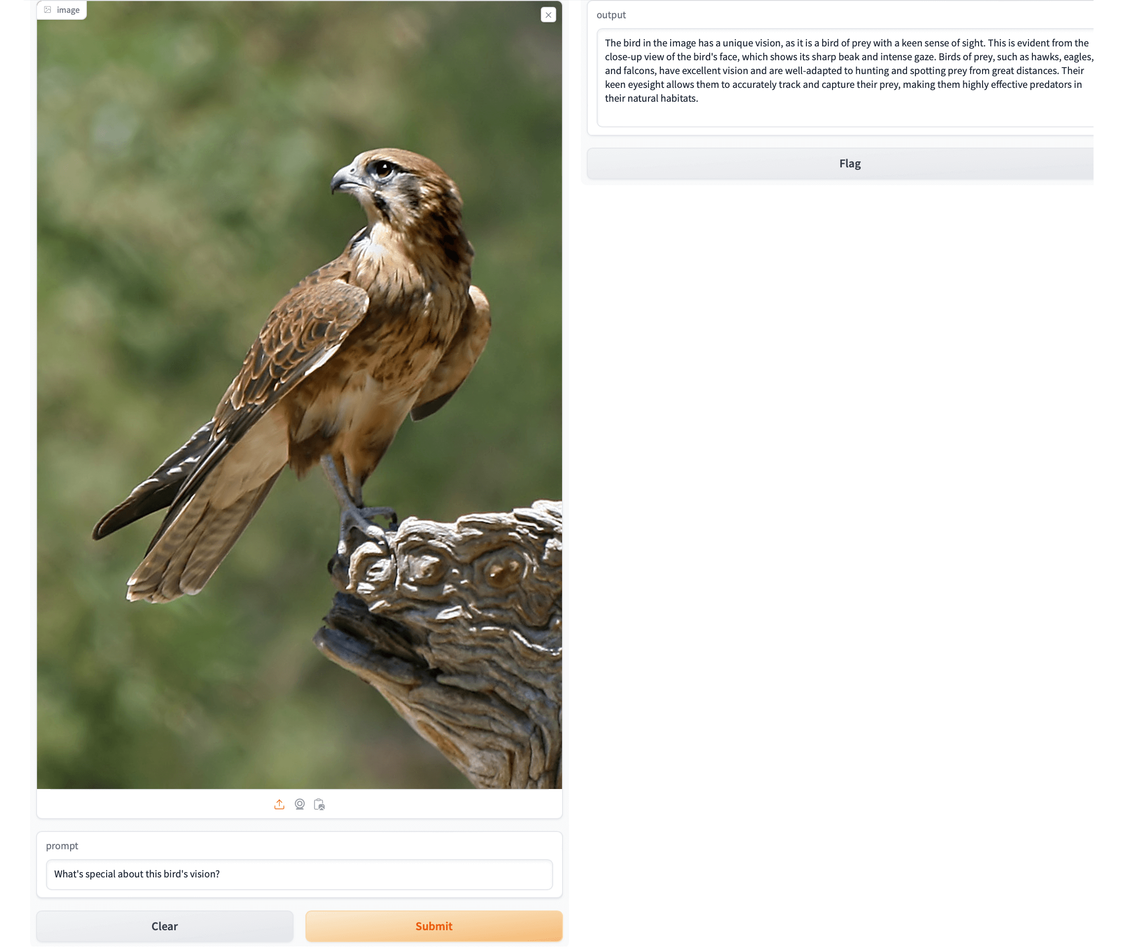 falcon_example_tiny.png