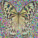 noisy_butterfly.png