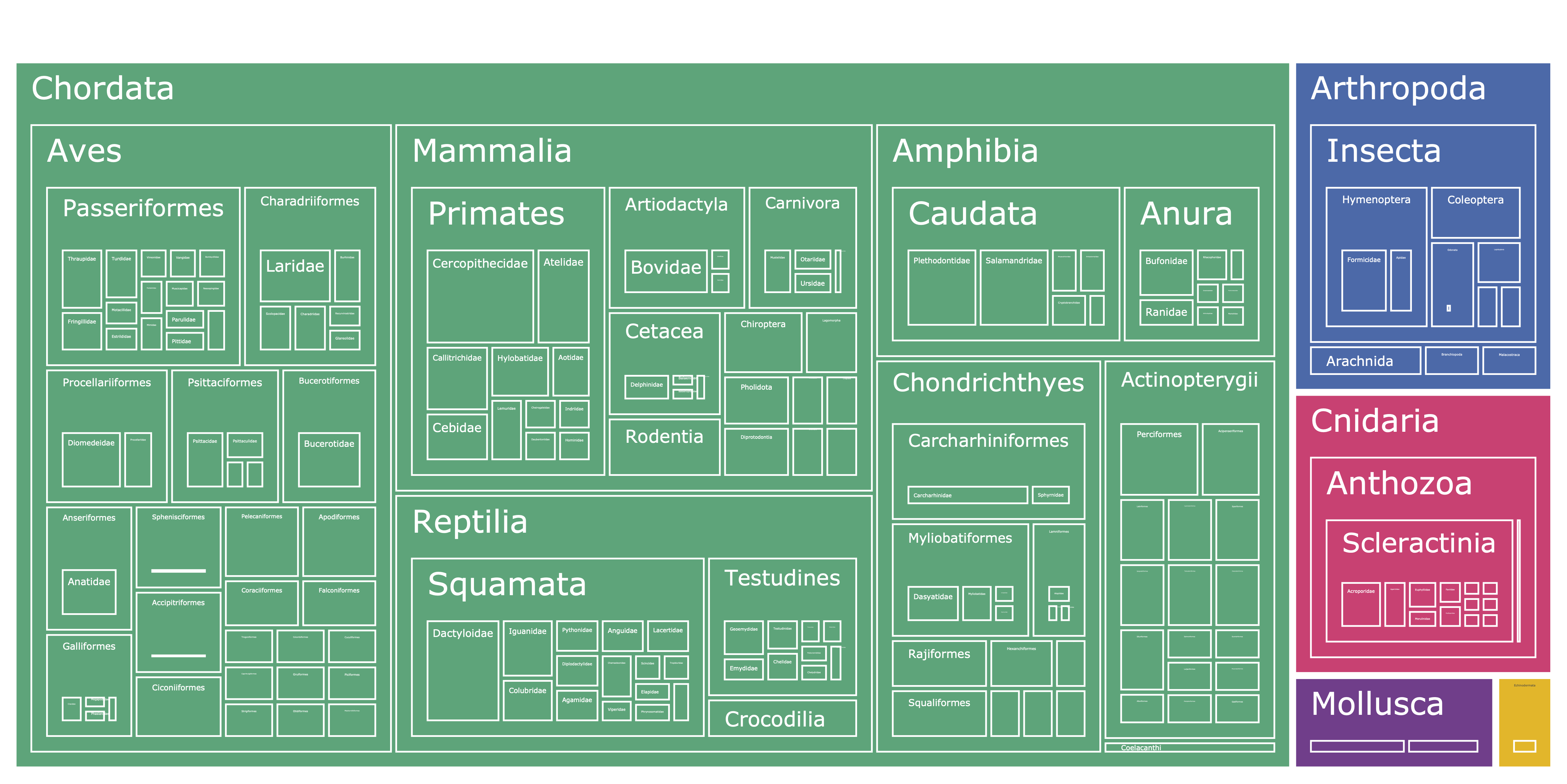 phyla_ToL_tree.png