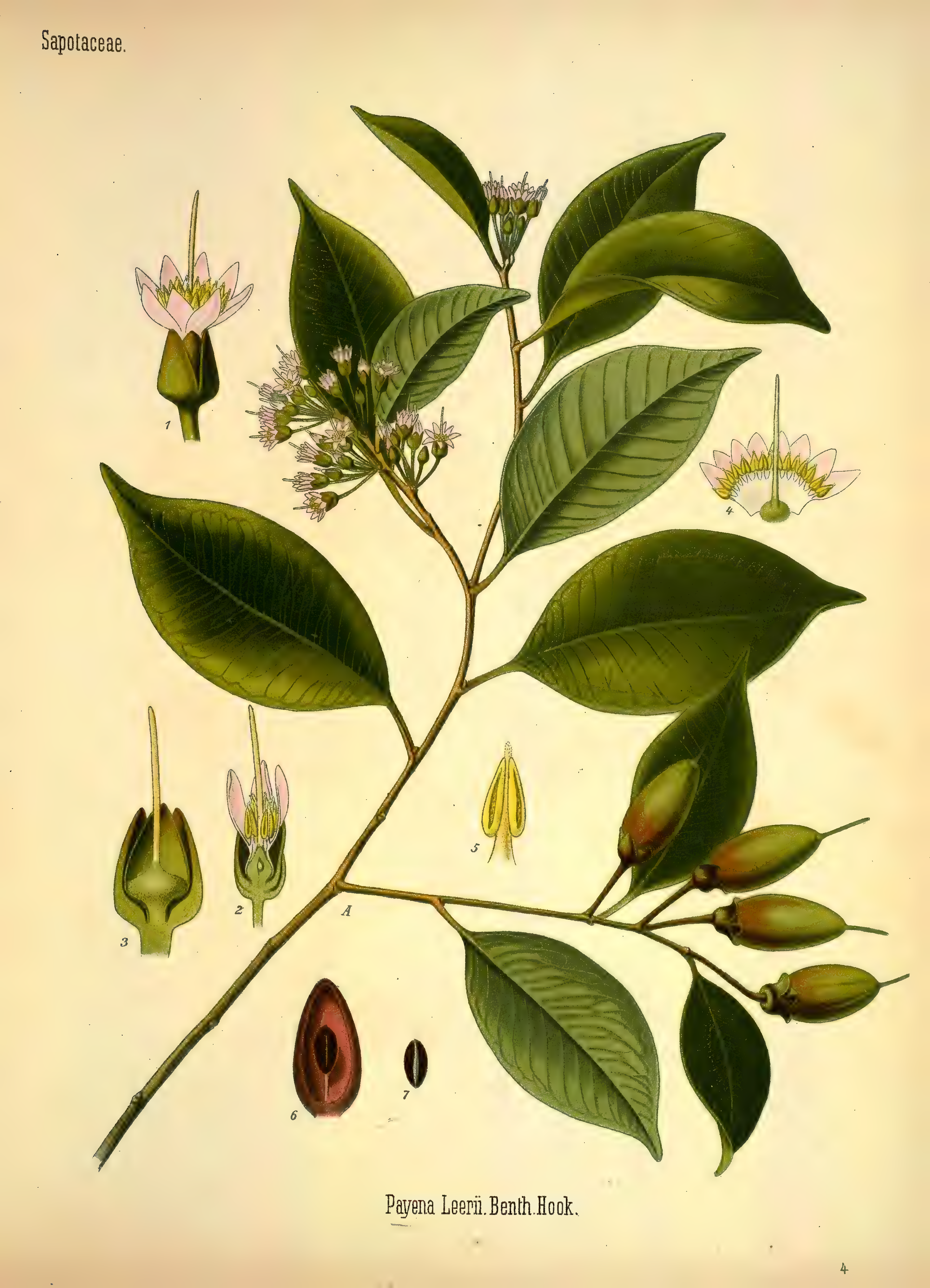 mobot31753002839105-3_page_383.png