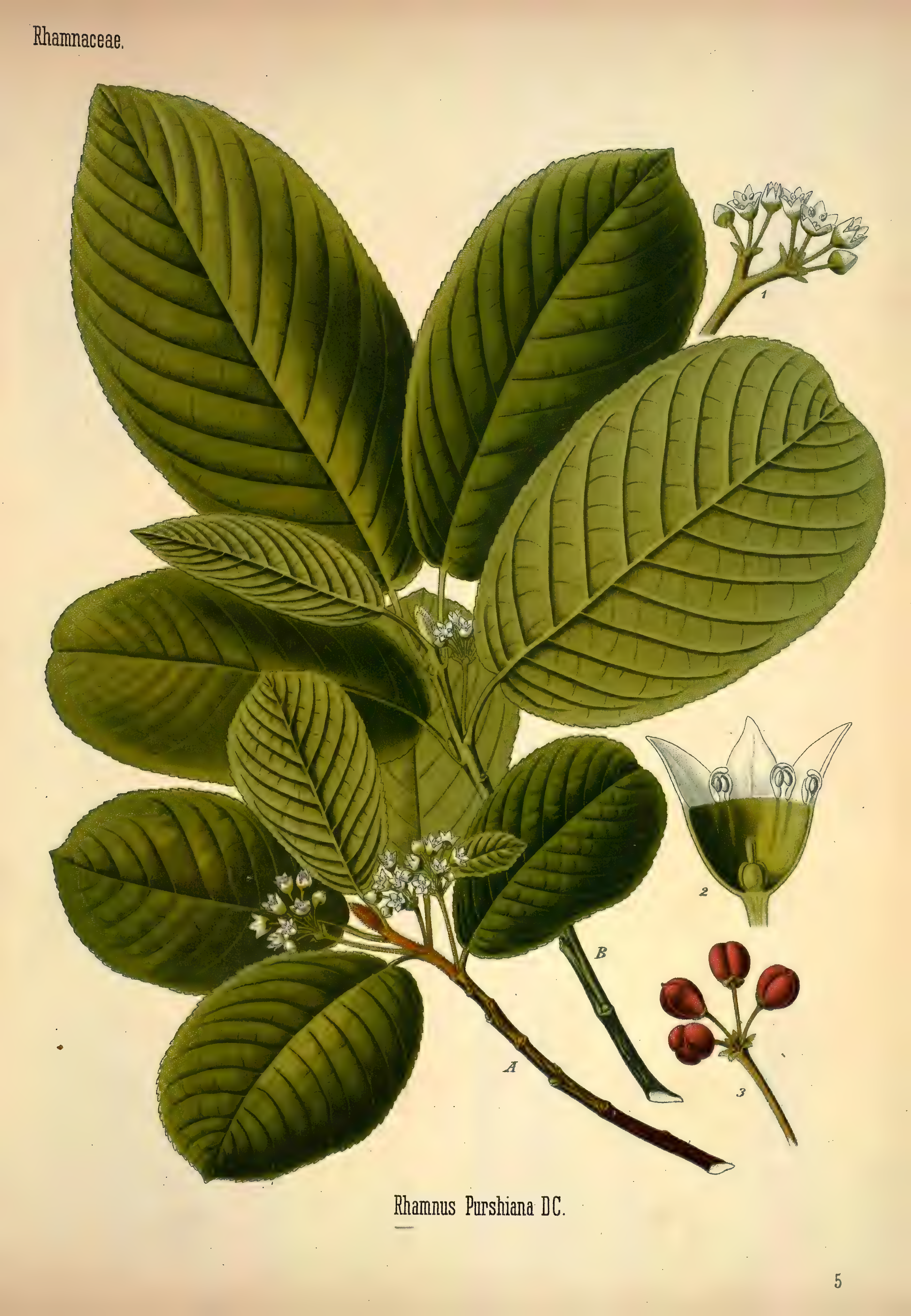 mobot31753002839105-3_page_385.png
