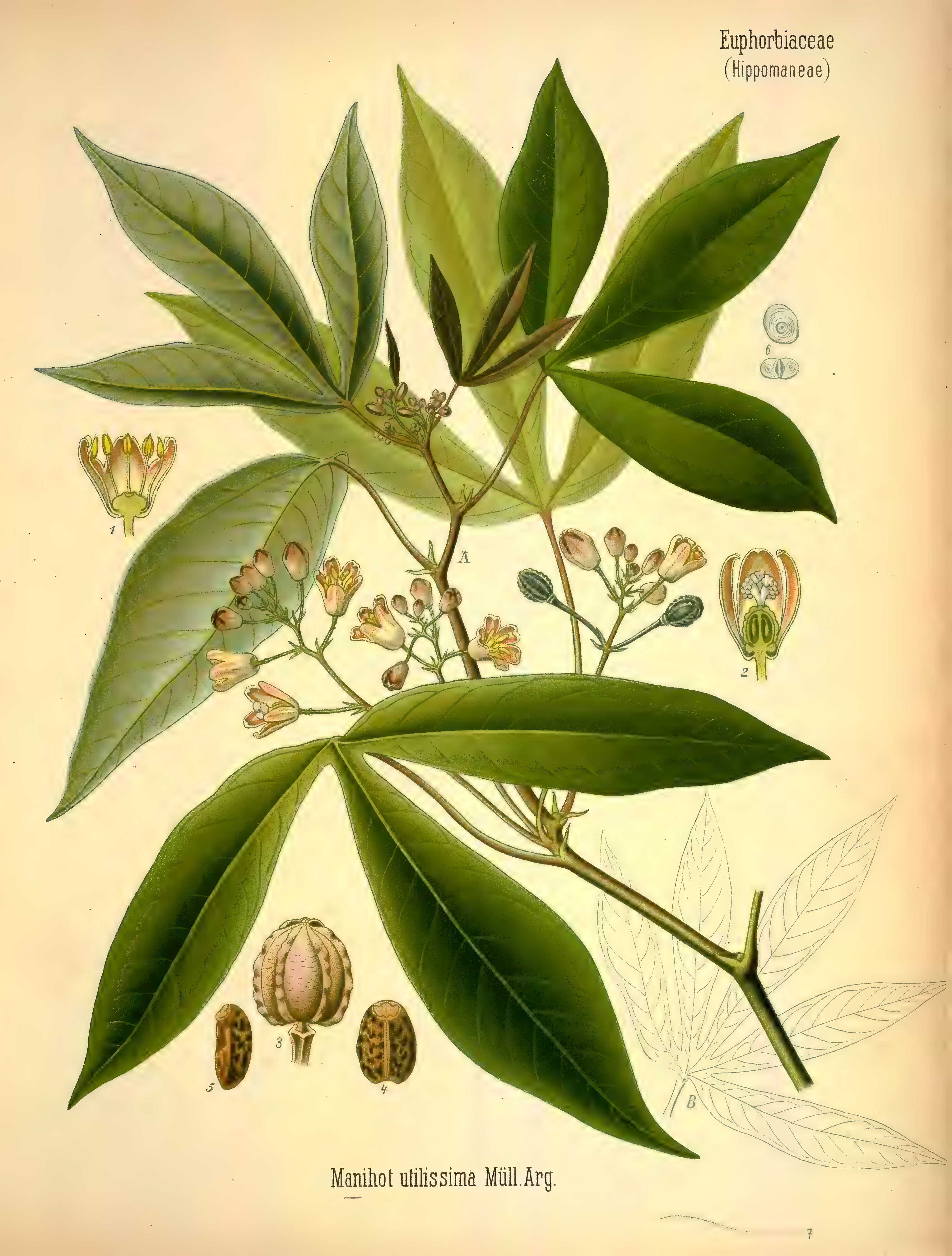 mobot31753002839105-3_page_389.png