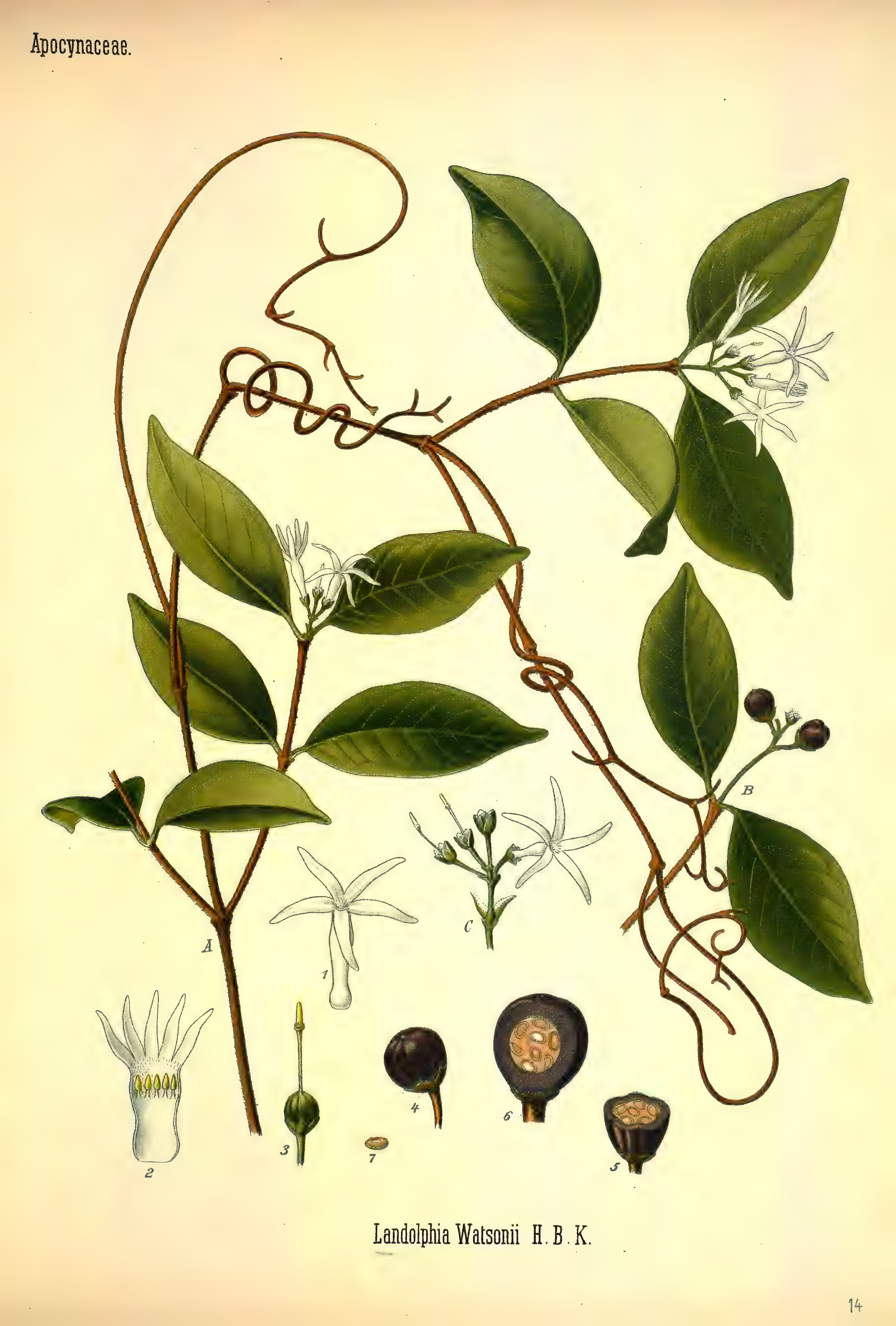 mobot31753002839105-3_page_403.png