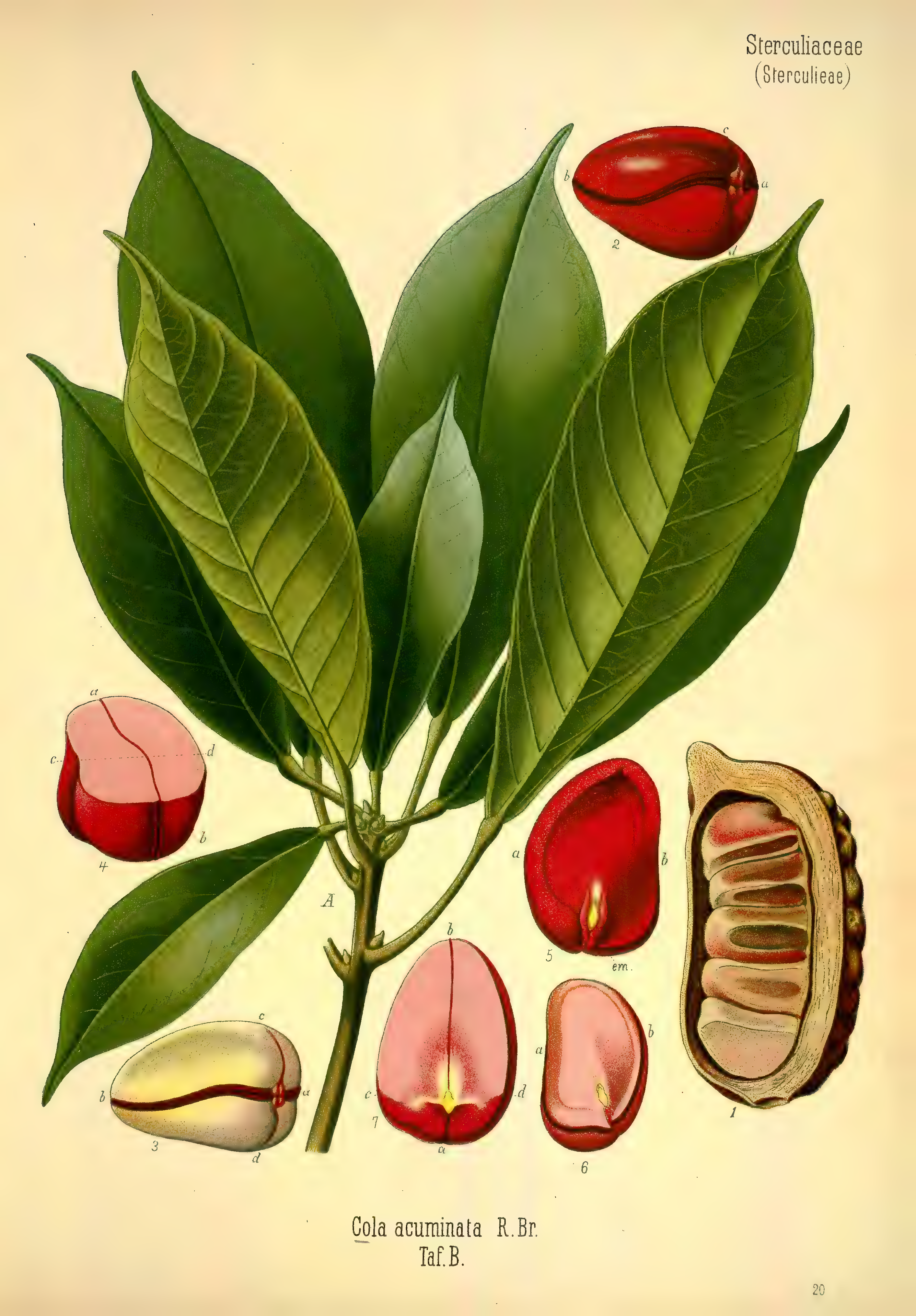 mobot31753002839105-3_page_415.png