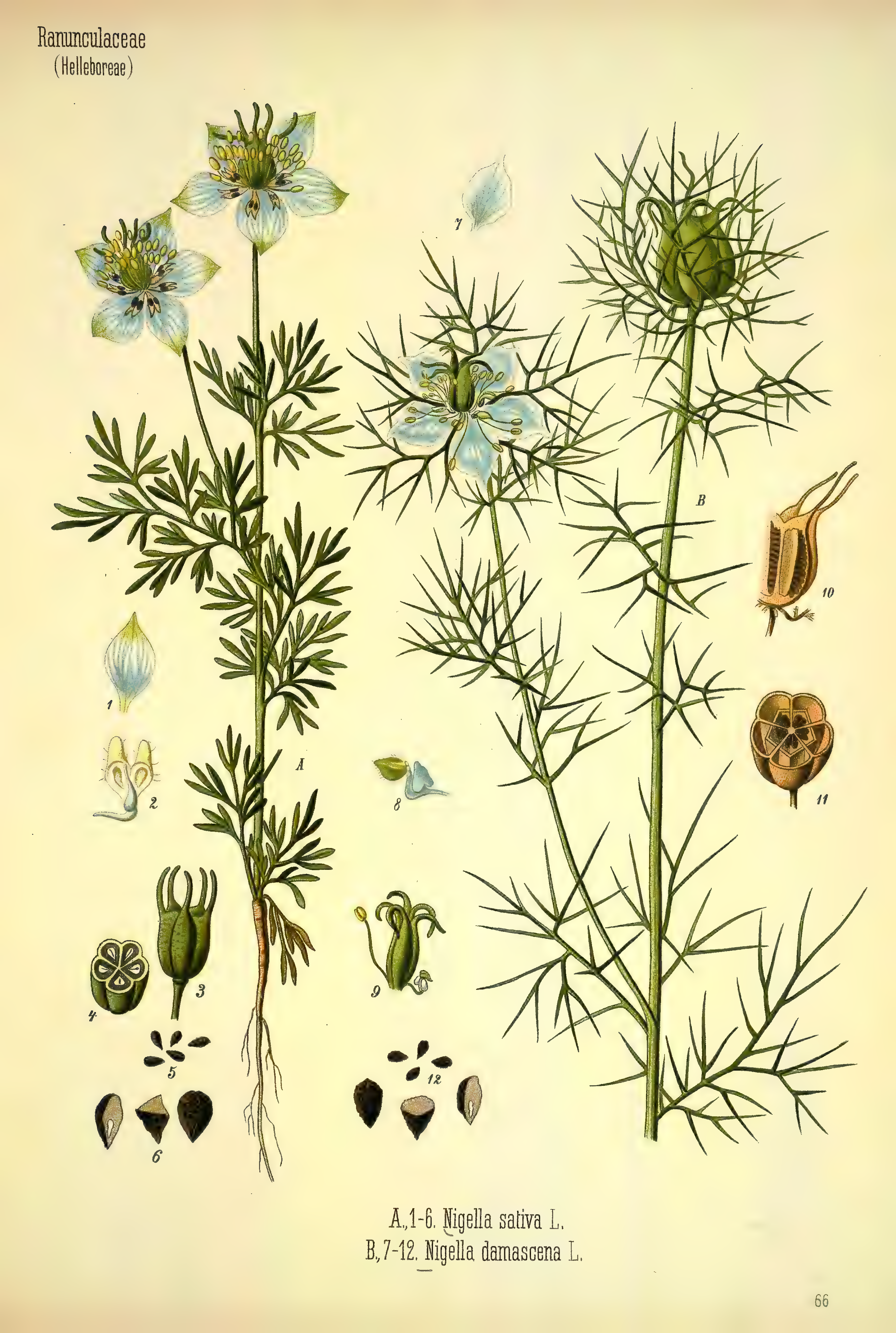 mobot31753002839105-3_page_507.png