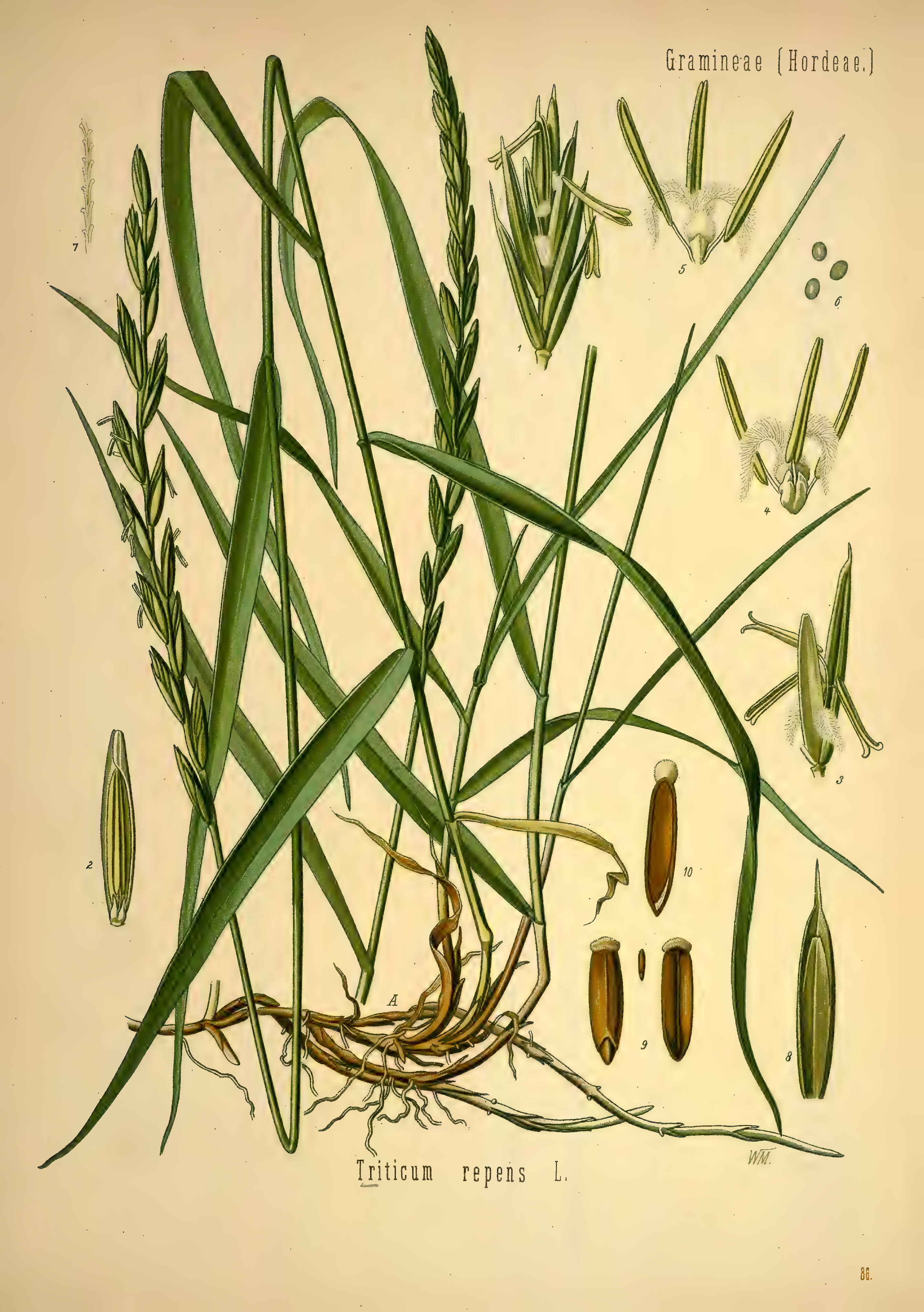 mobot31753002839121-2_page_511.png