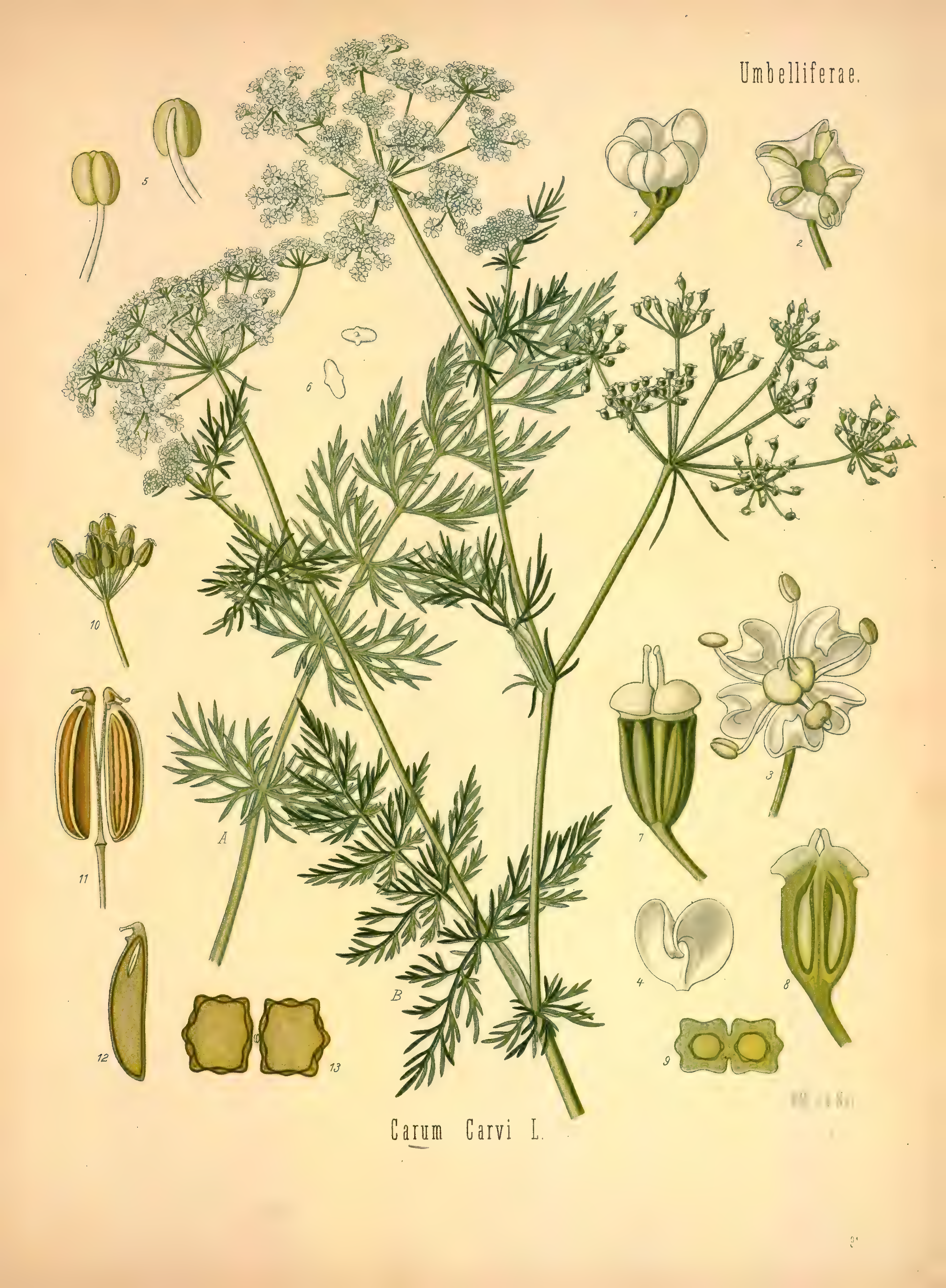 mobot31753002839121-2_page_521.png