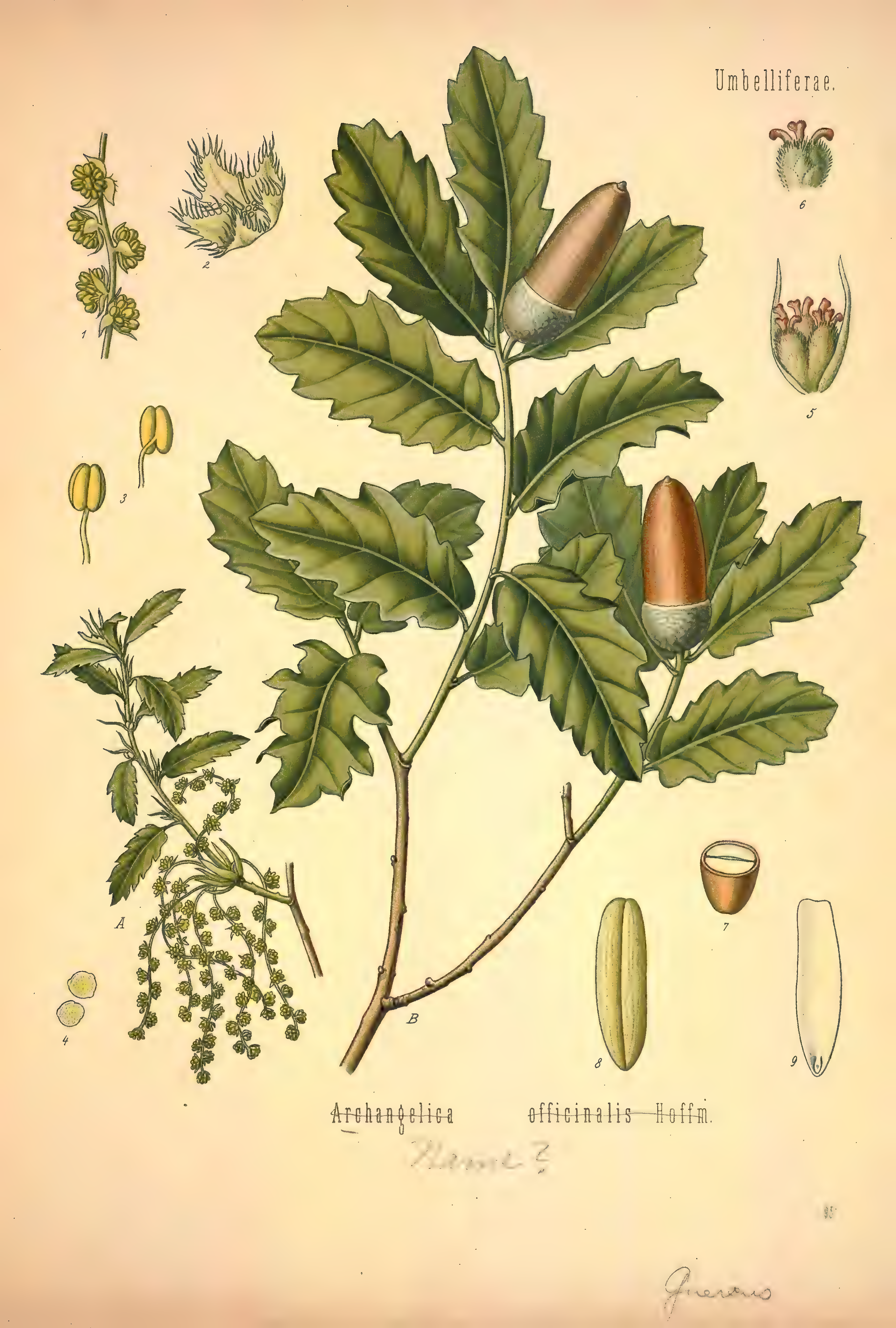 mobot31753002839121-2_page_533.png