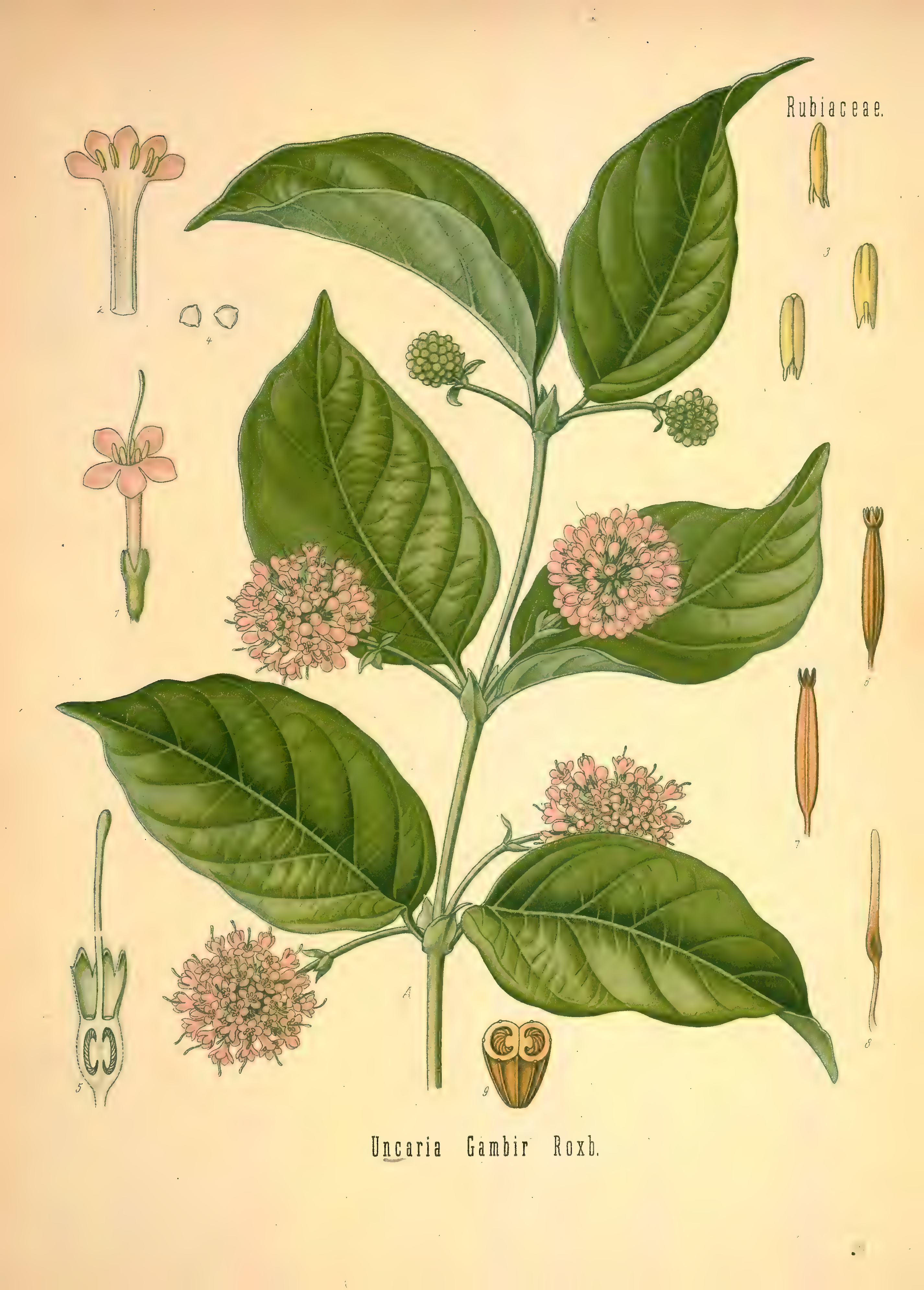 mobot31753002839121-2_page_551.png