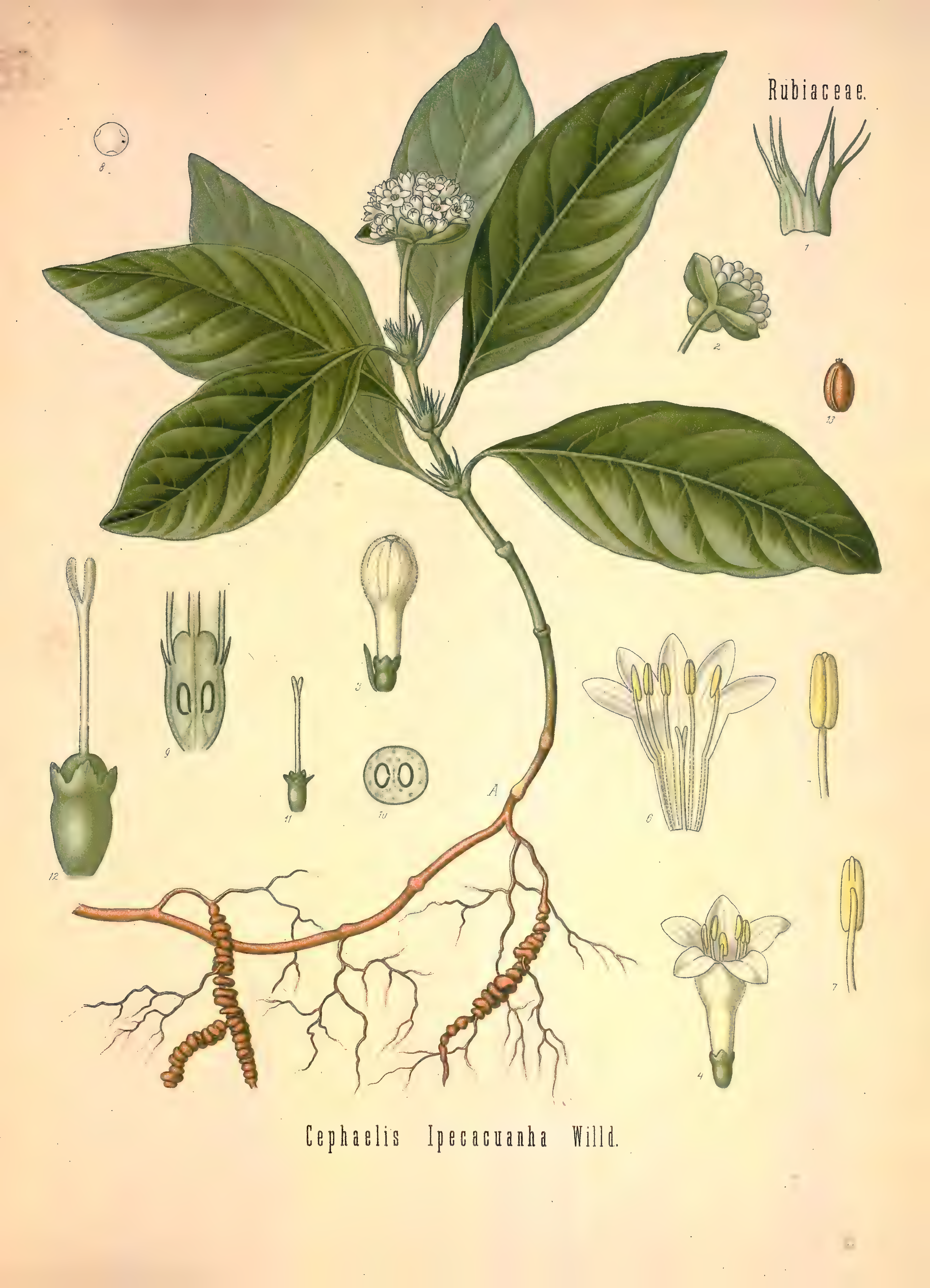 mobot31753002839121-2_page_553.png