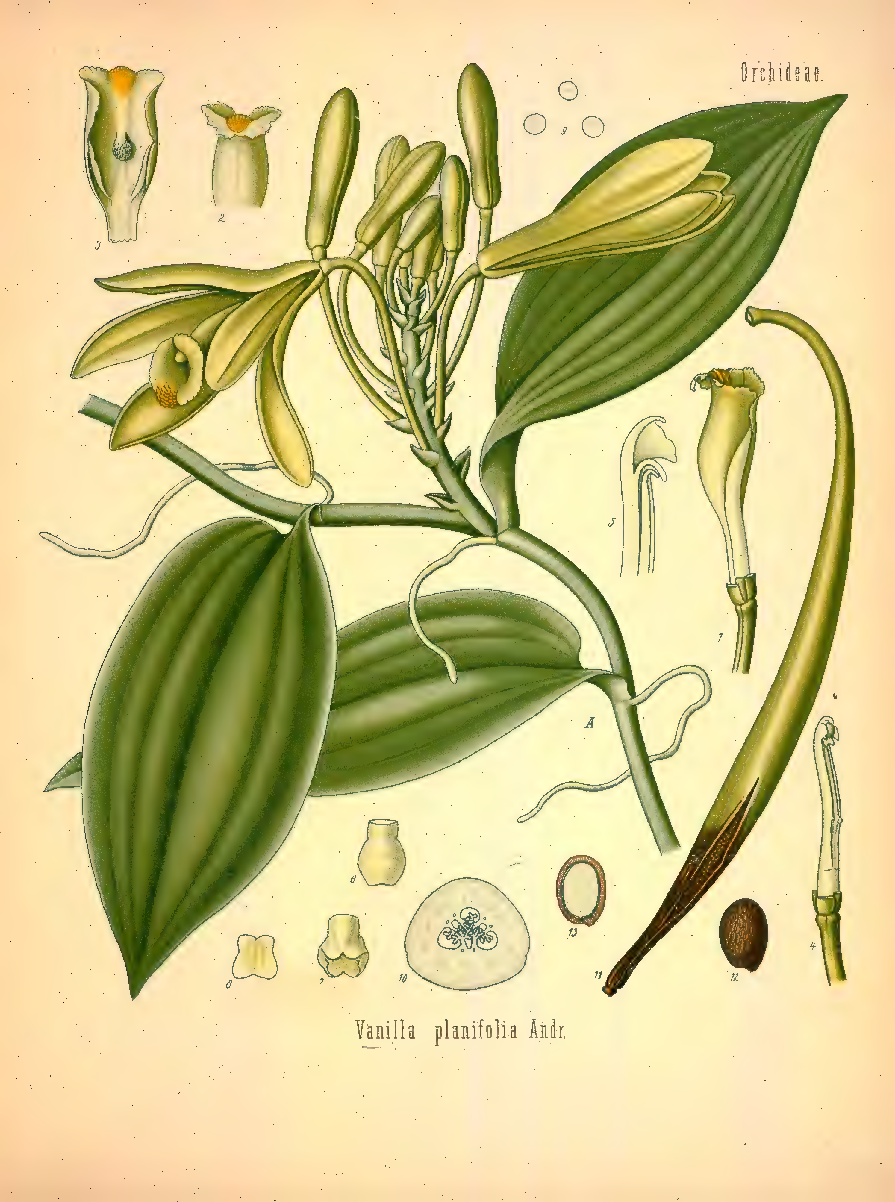 mobot31753002839121-2_page_573.png
