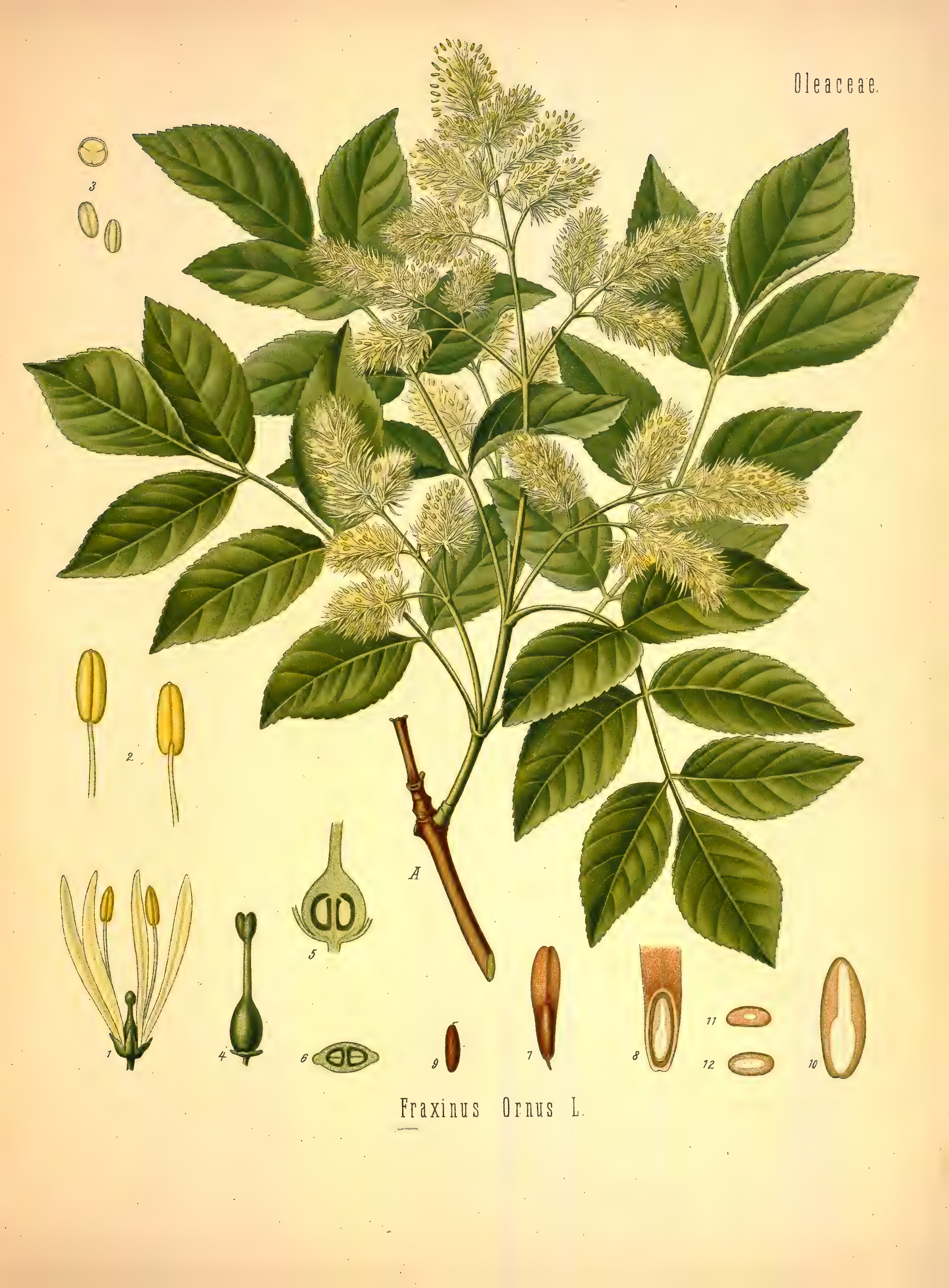 mobot31753002839121-2_page_575.png