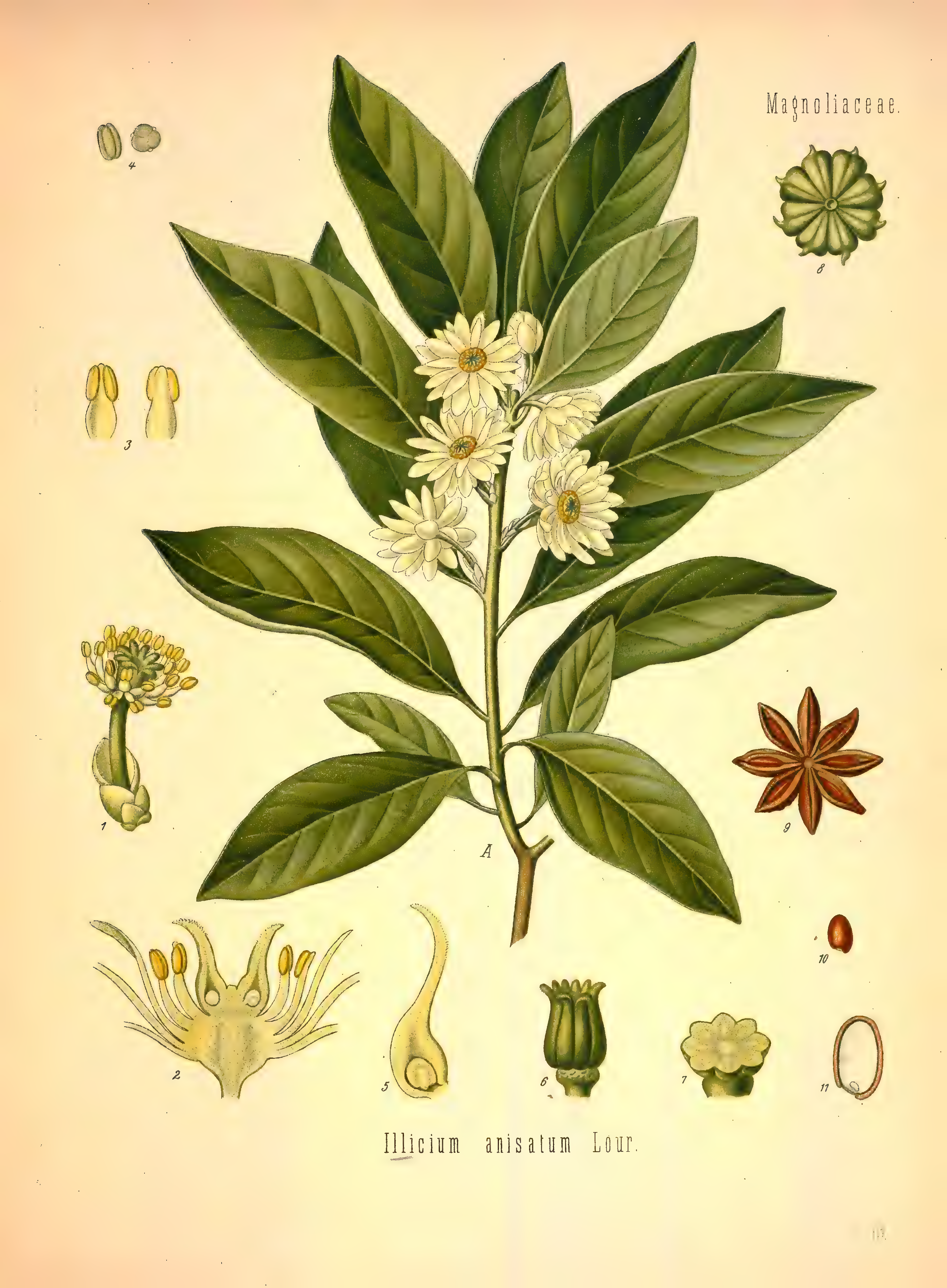 mobot31753002839121-2_page_579.png