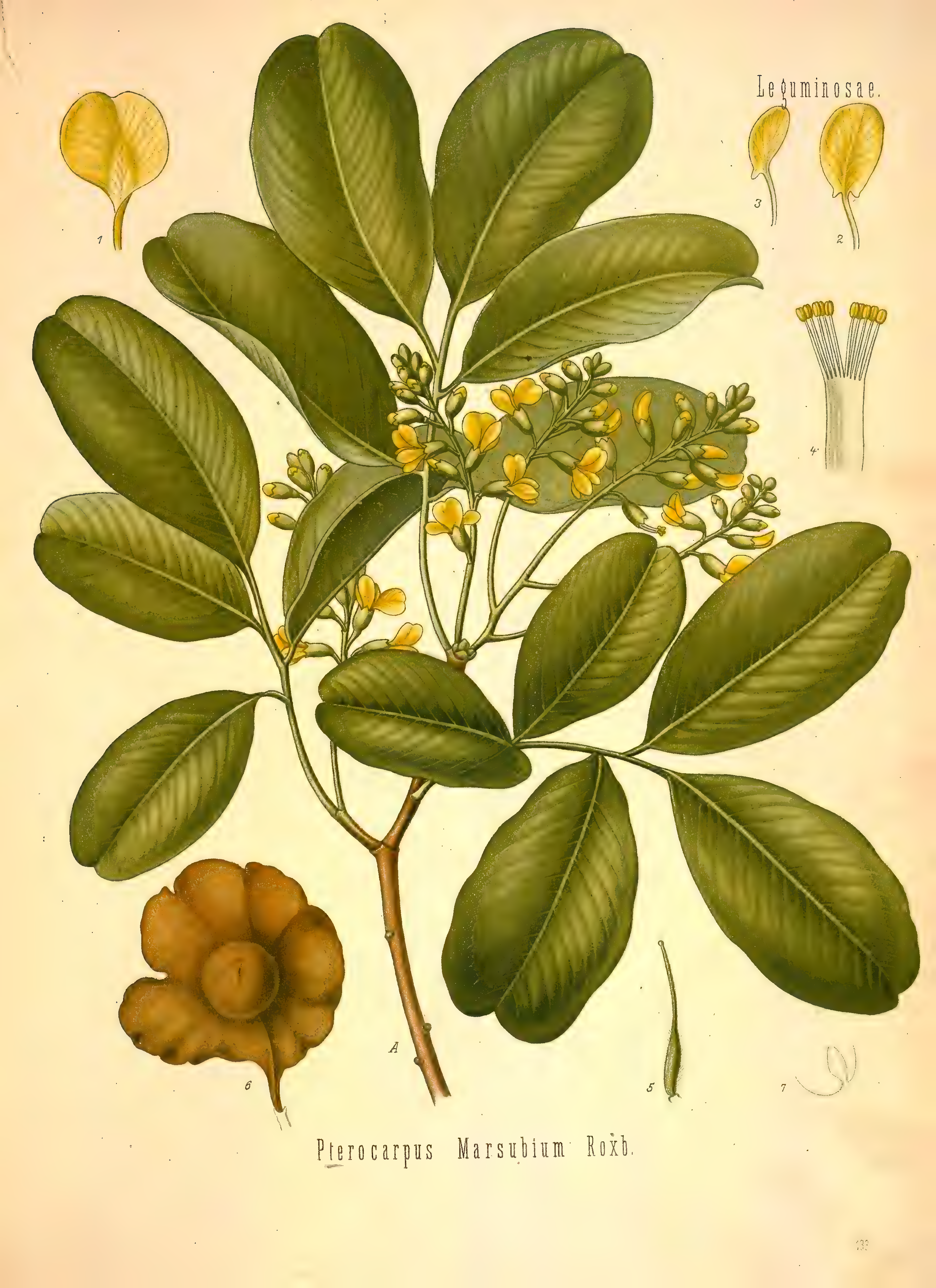 mobot31753002839121-2_page_611.png