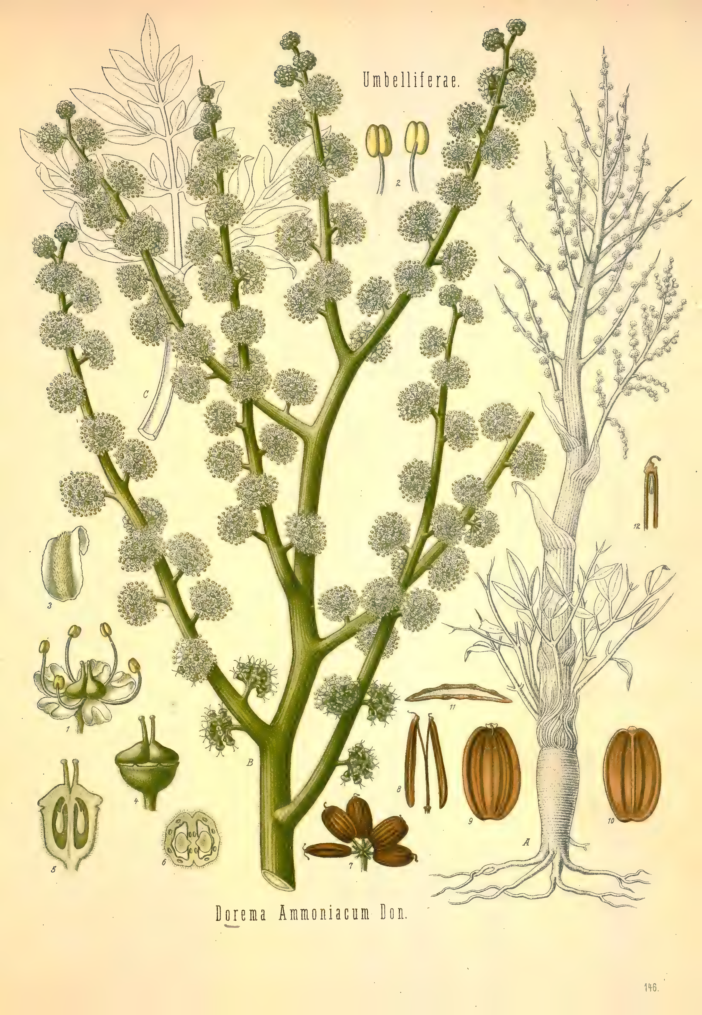 mobot31753002839121-2_page_637.png