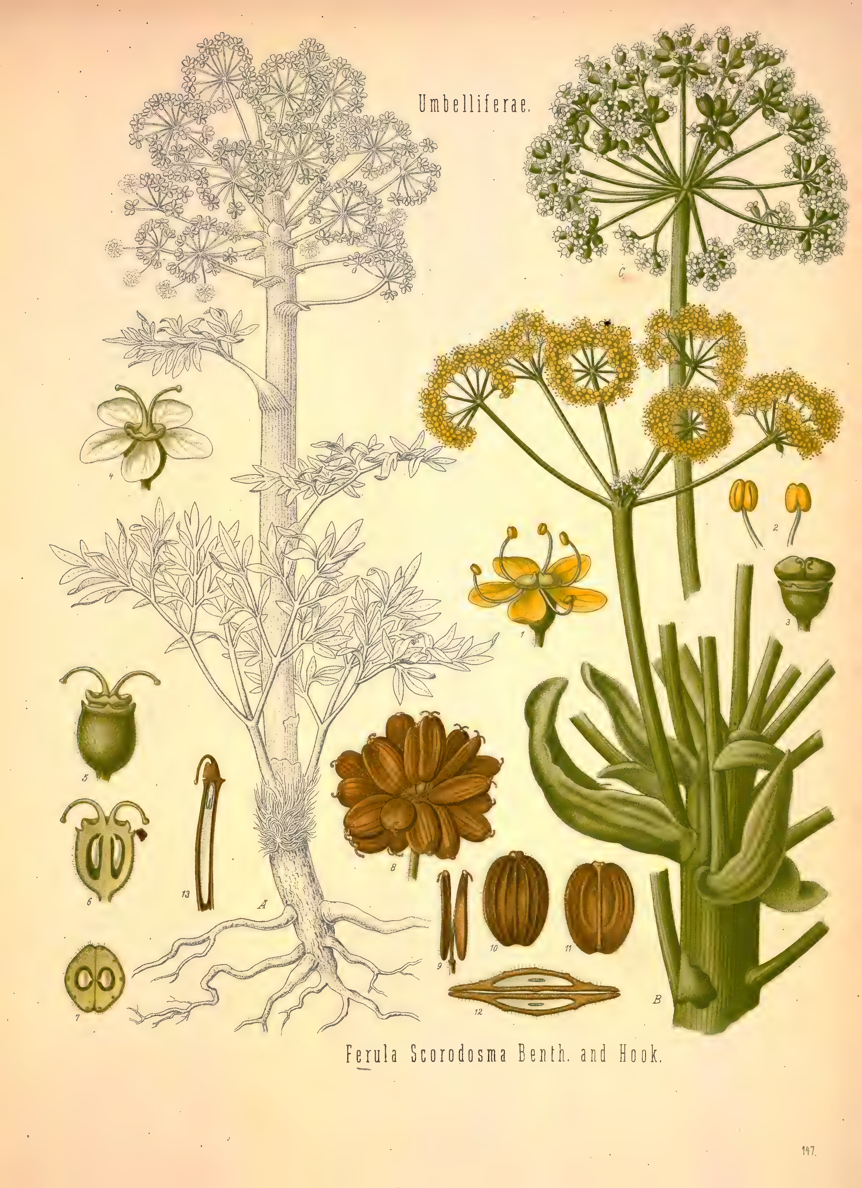 mobot31753002839121-2_page_639.png