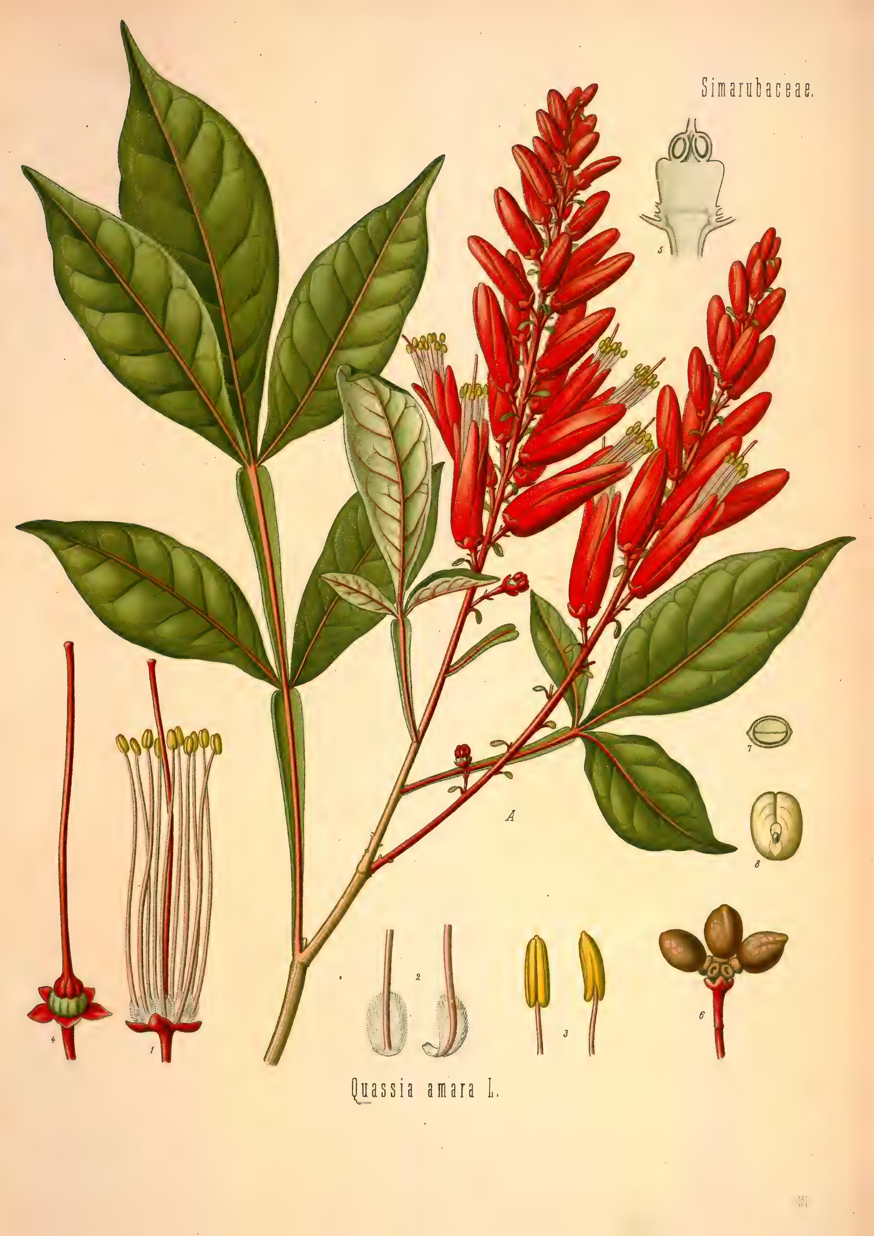 mobot31753002839121-2_page_647.png