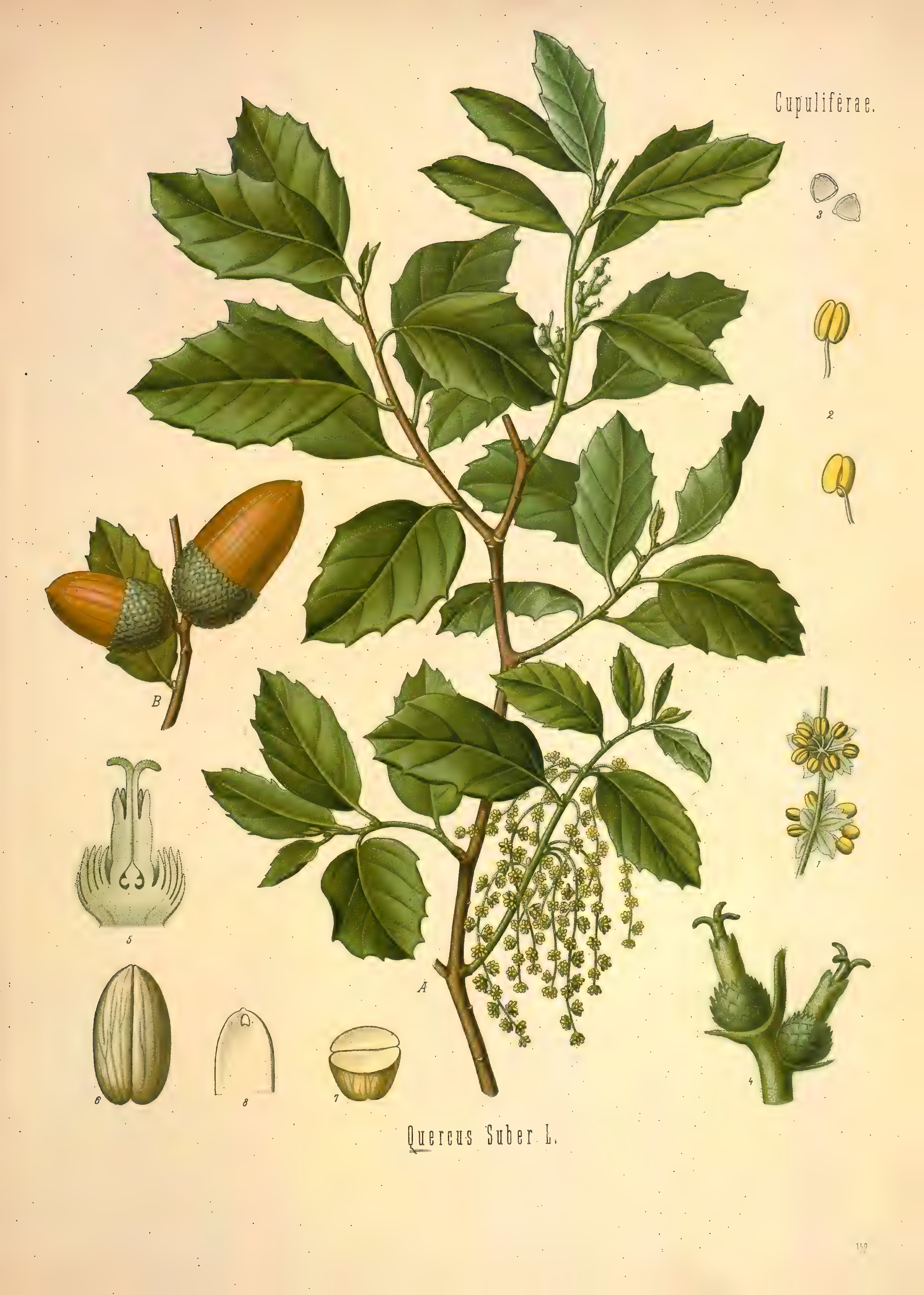 mobot31753002839121-2_page_649.png