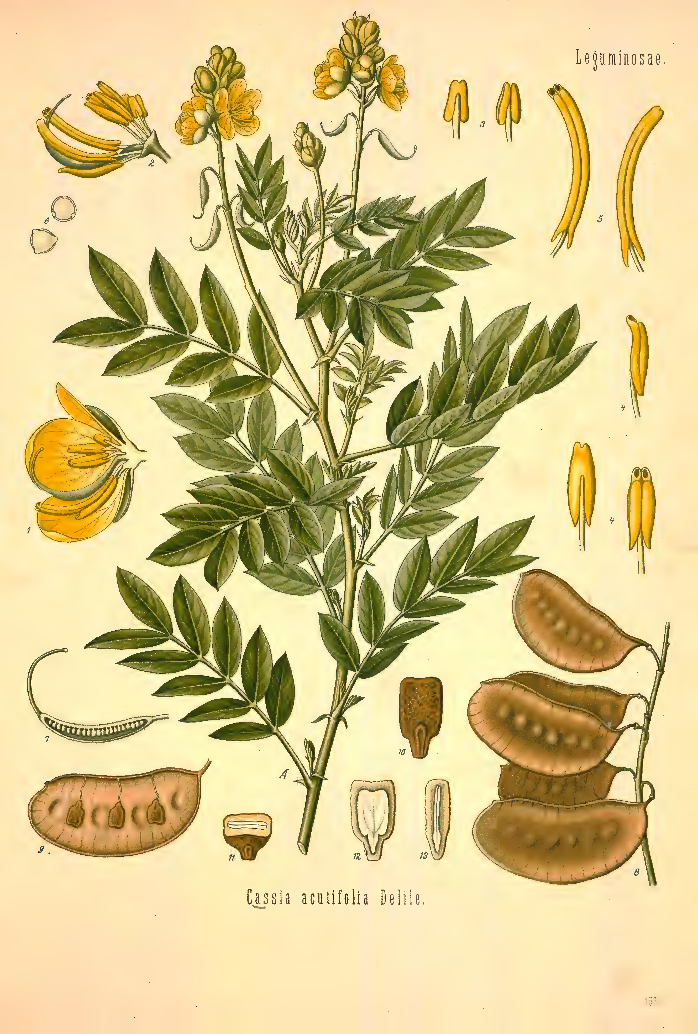 mobot31753002839121-2_page_657.png