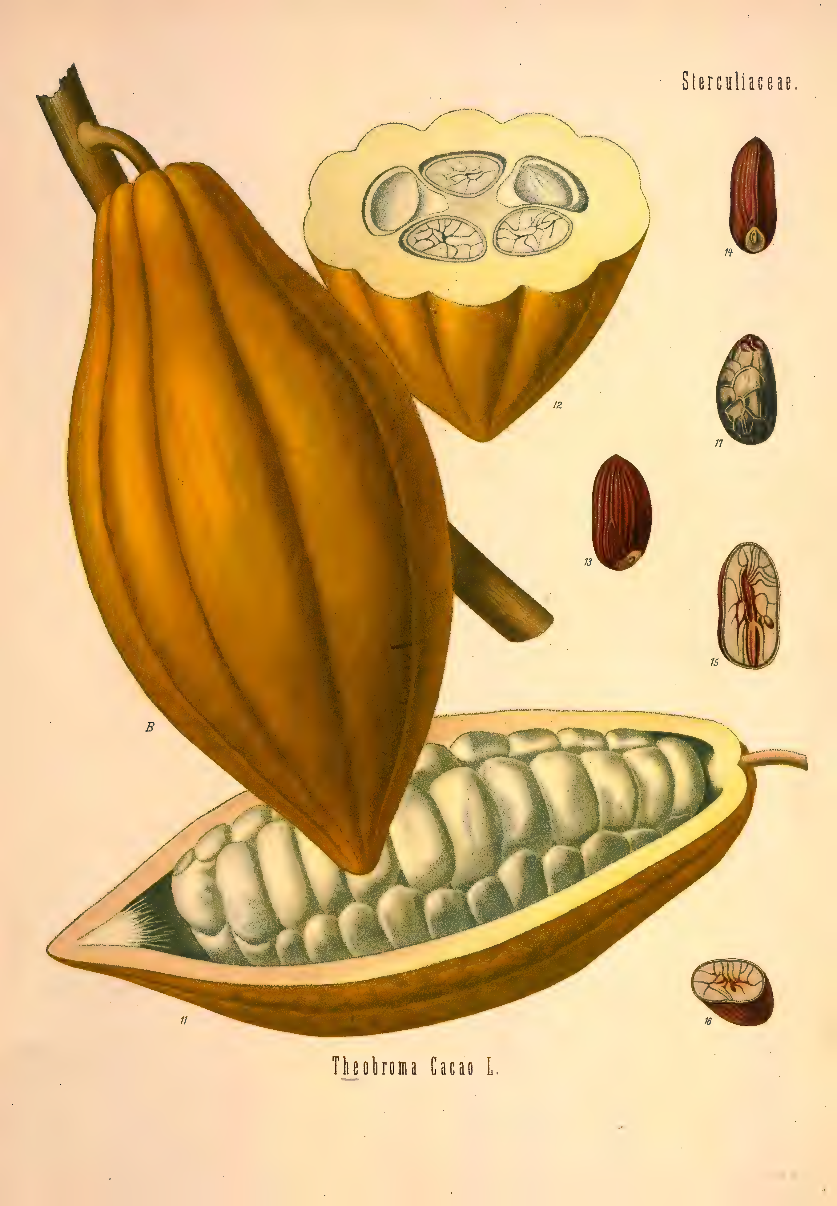 mobot31753002839121-2_page_661.png