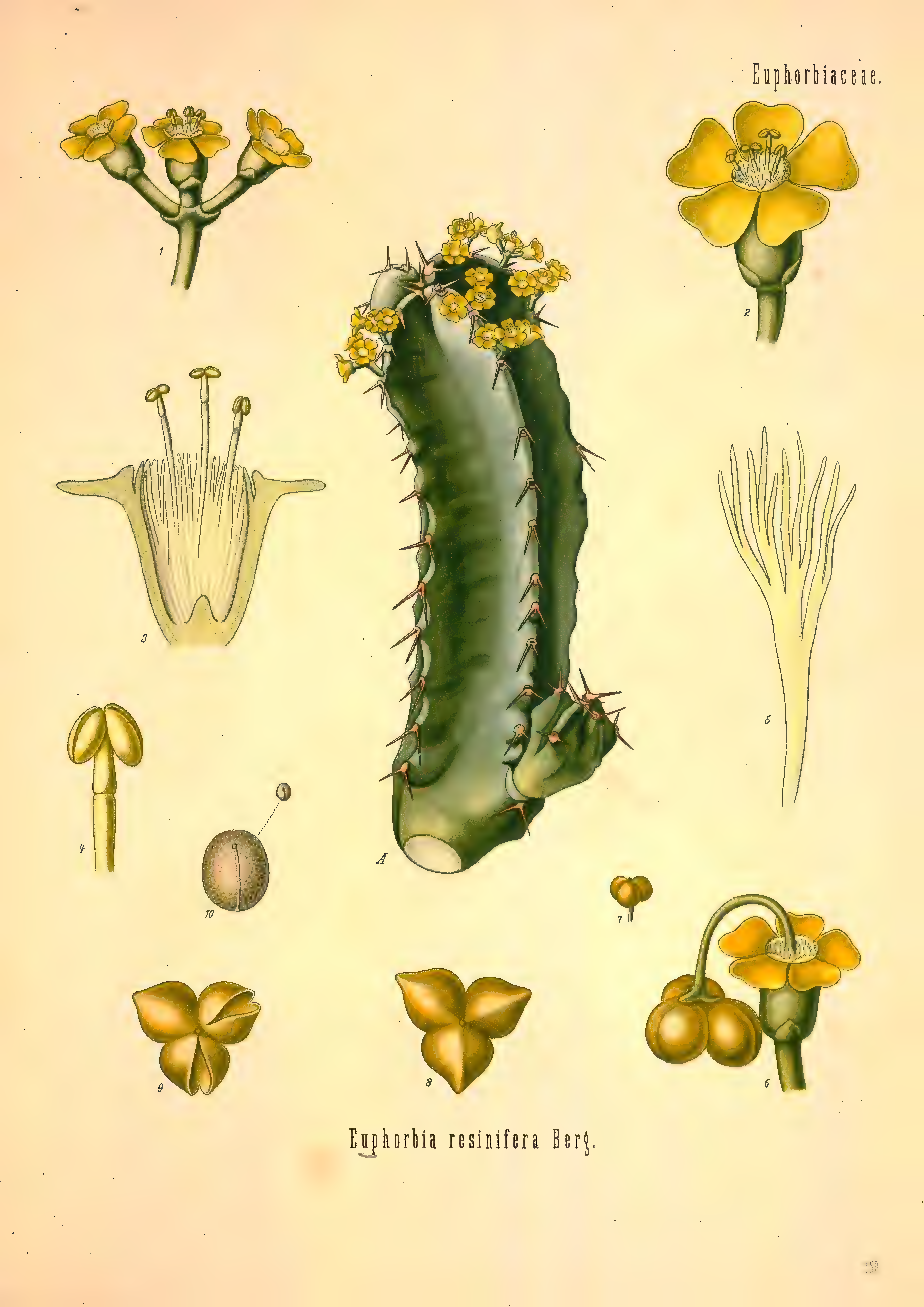 mobot31753002839121-2_page_665.png