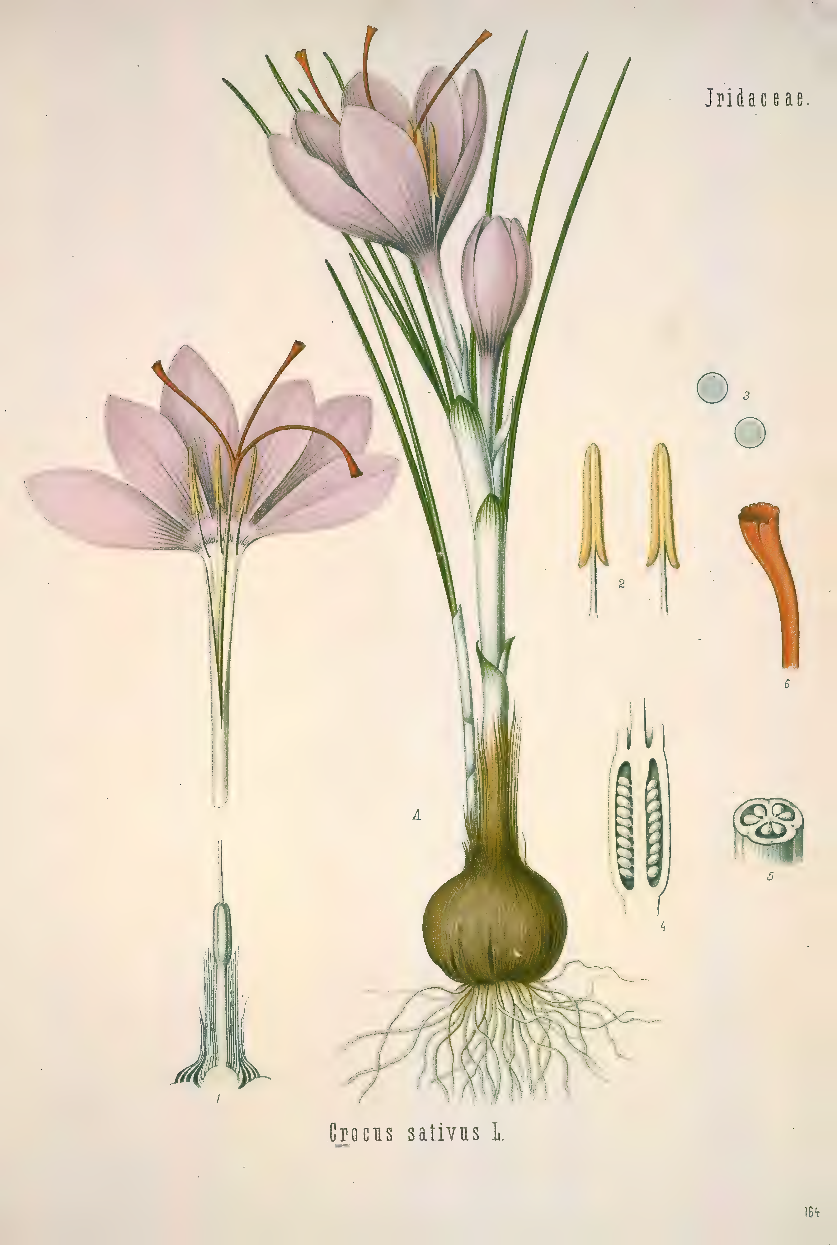 mobot31753002839121-2_page_675.png
