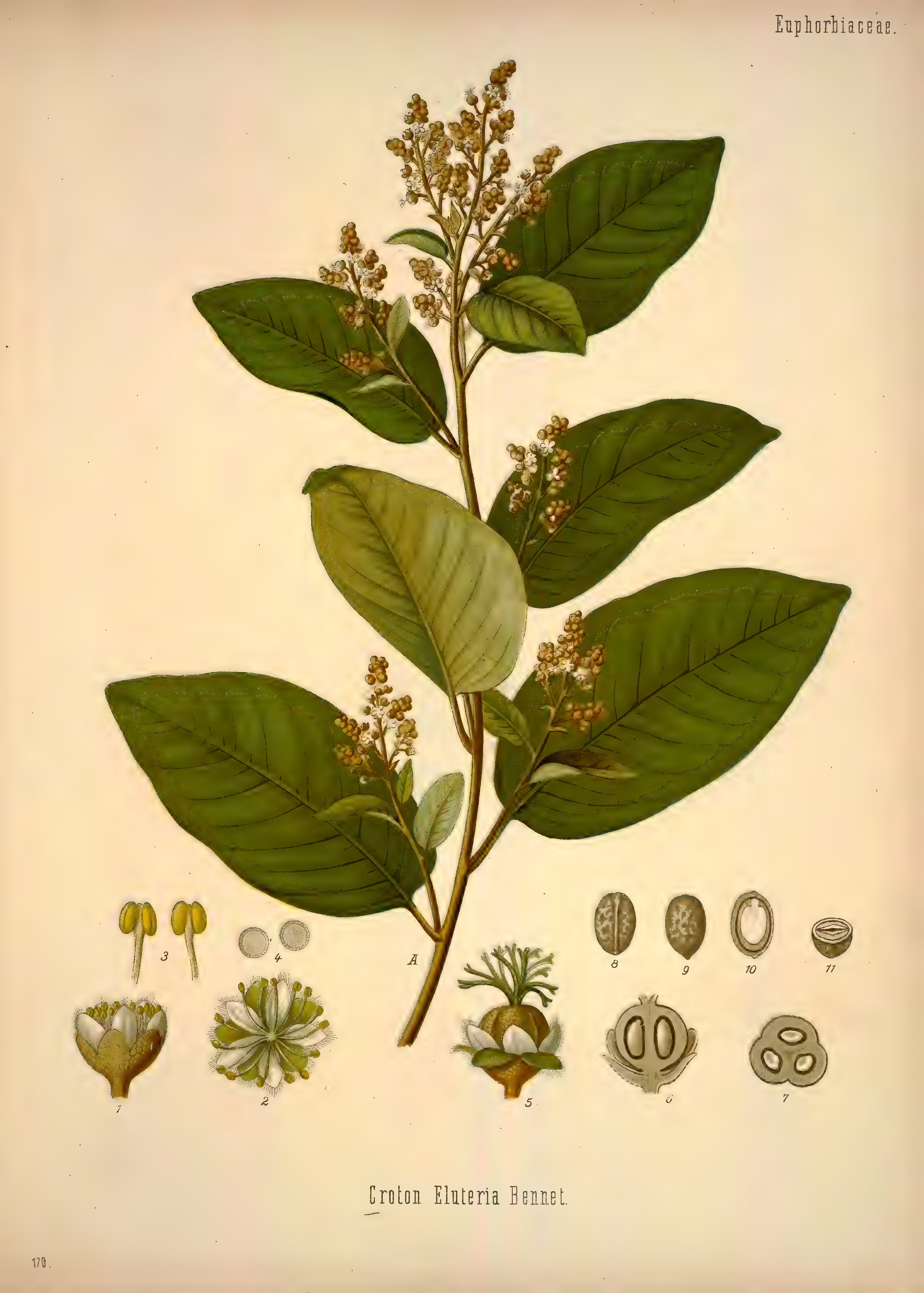 mobot31753002839121-2_page_687.png