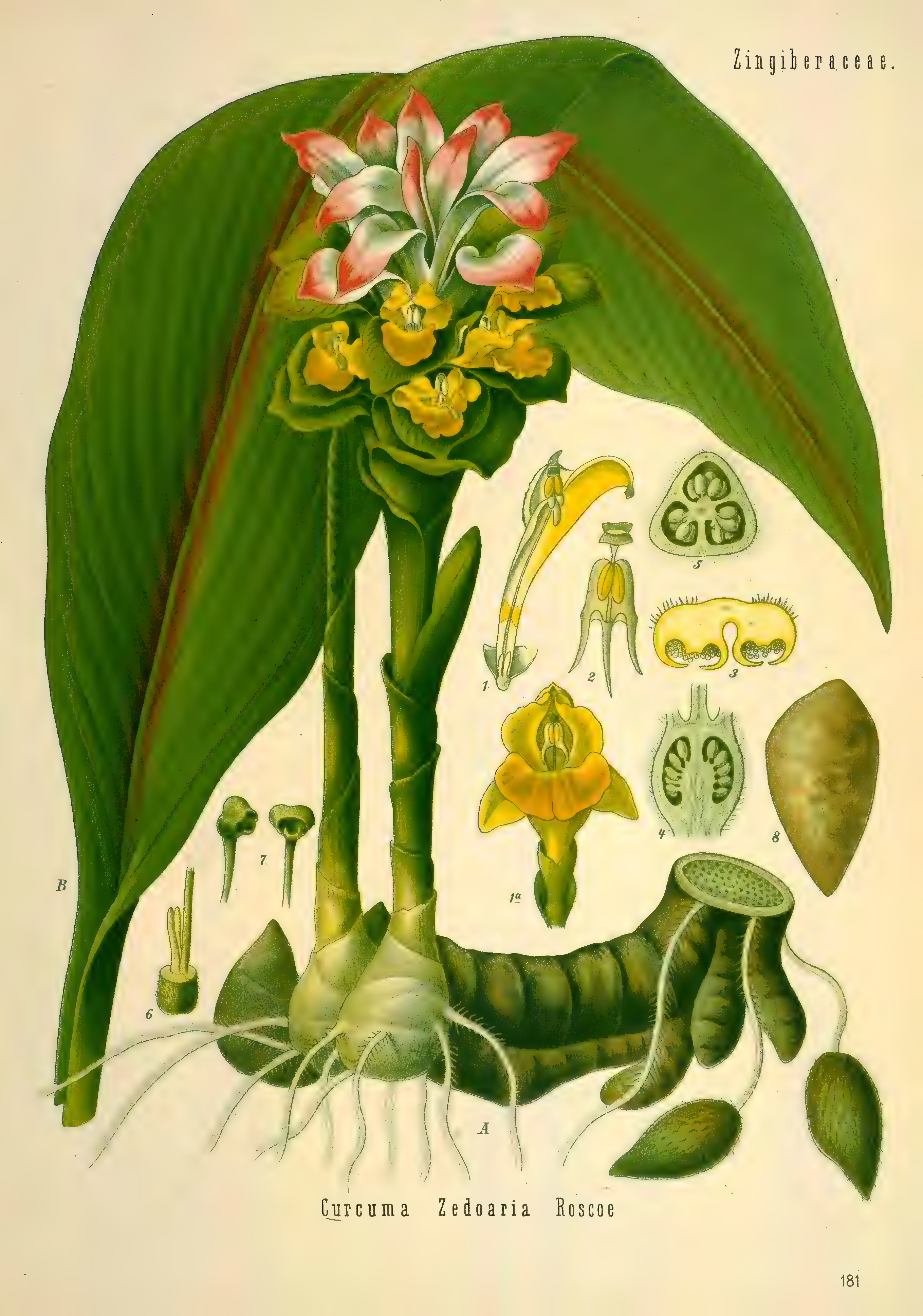 mobot31753002839121-2_page_711.png