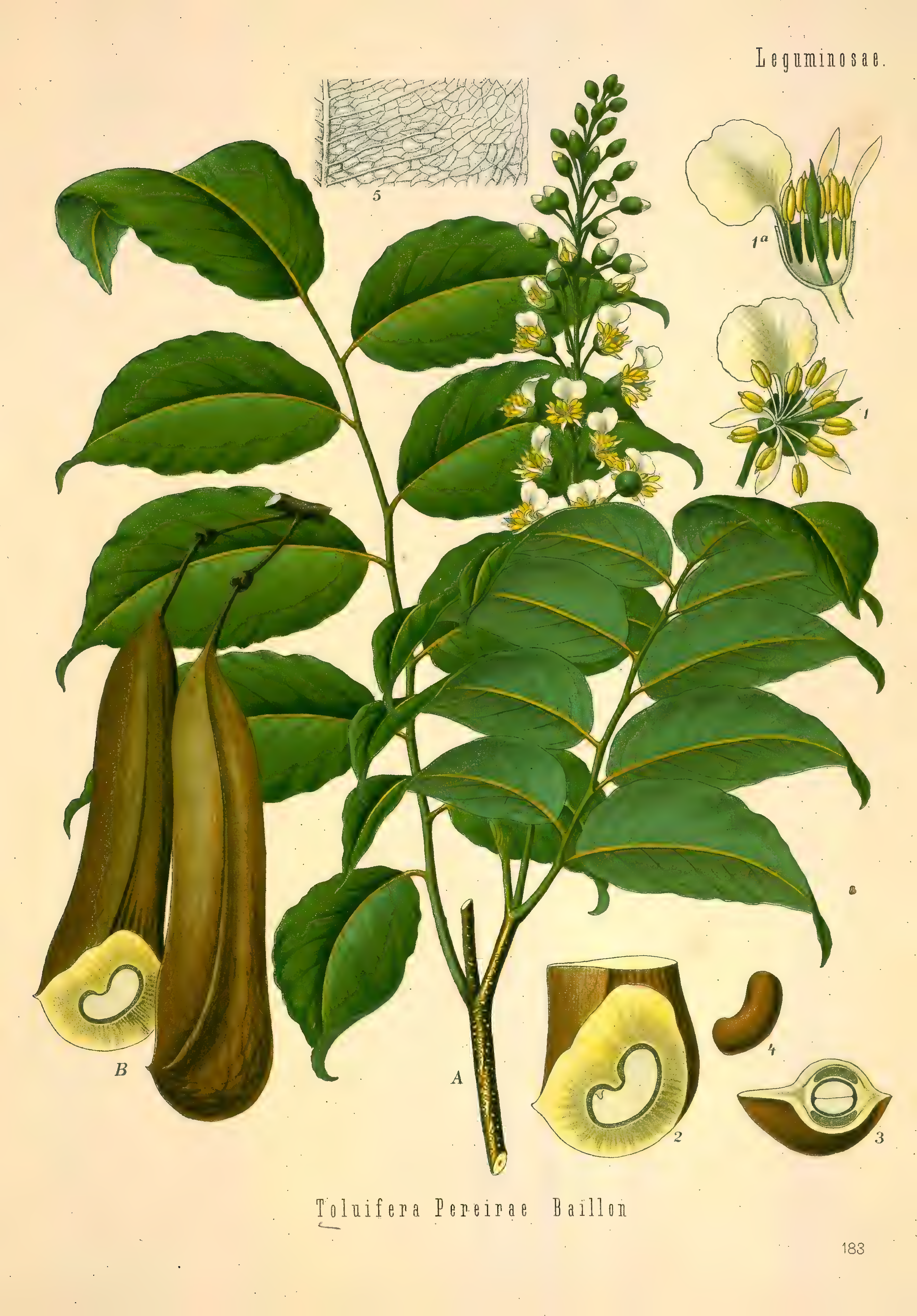 mobot31753002839121-2_page_715.png