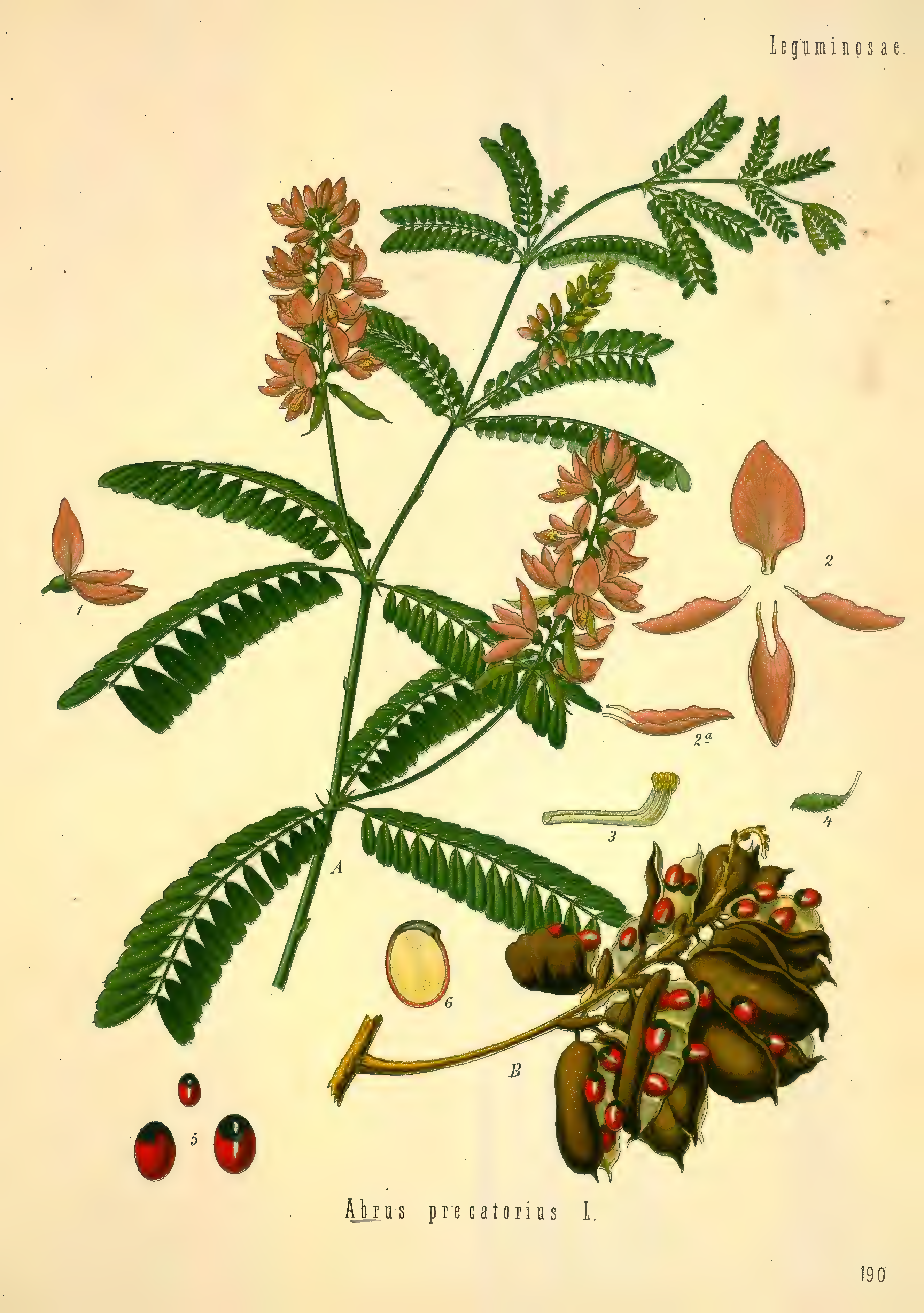 mobot31753002839121-2_page_729.png
