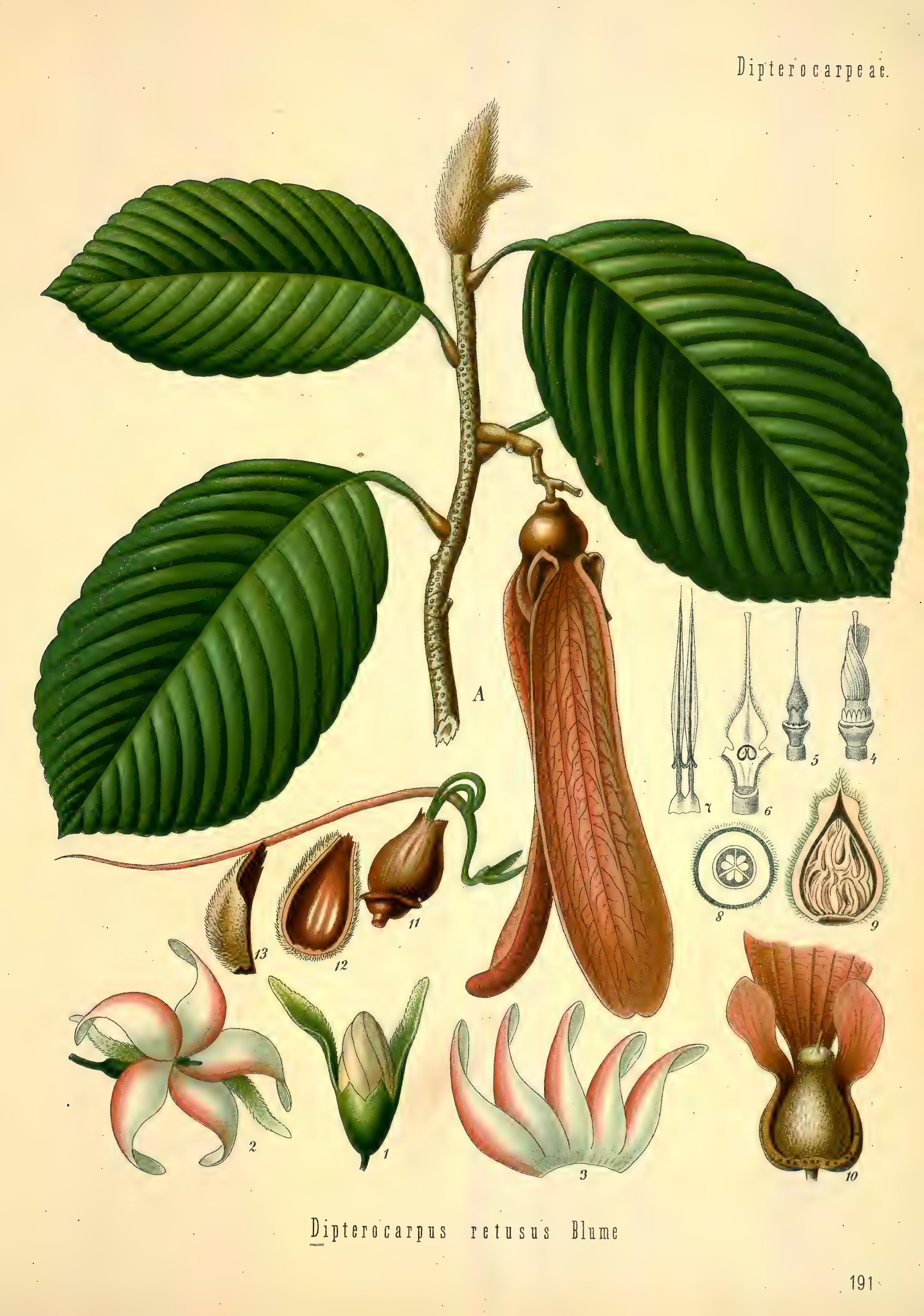 mobot31753002839121-2_page_731.png