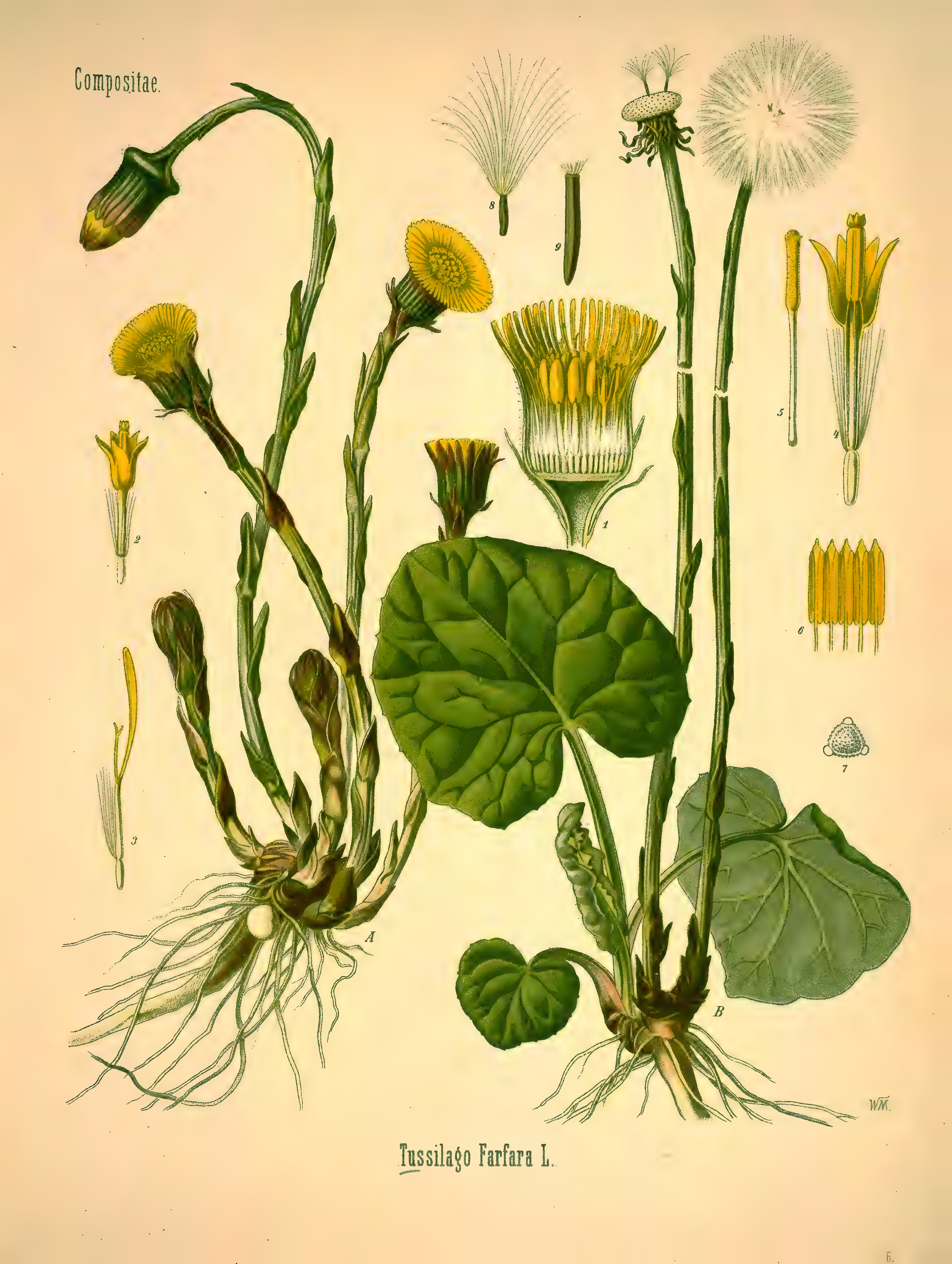 mobot31753002839139-1_page_245.png