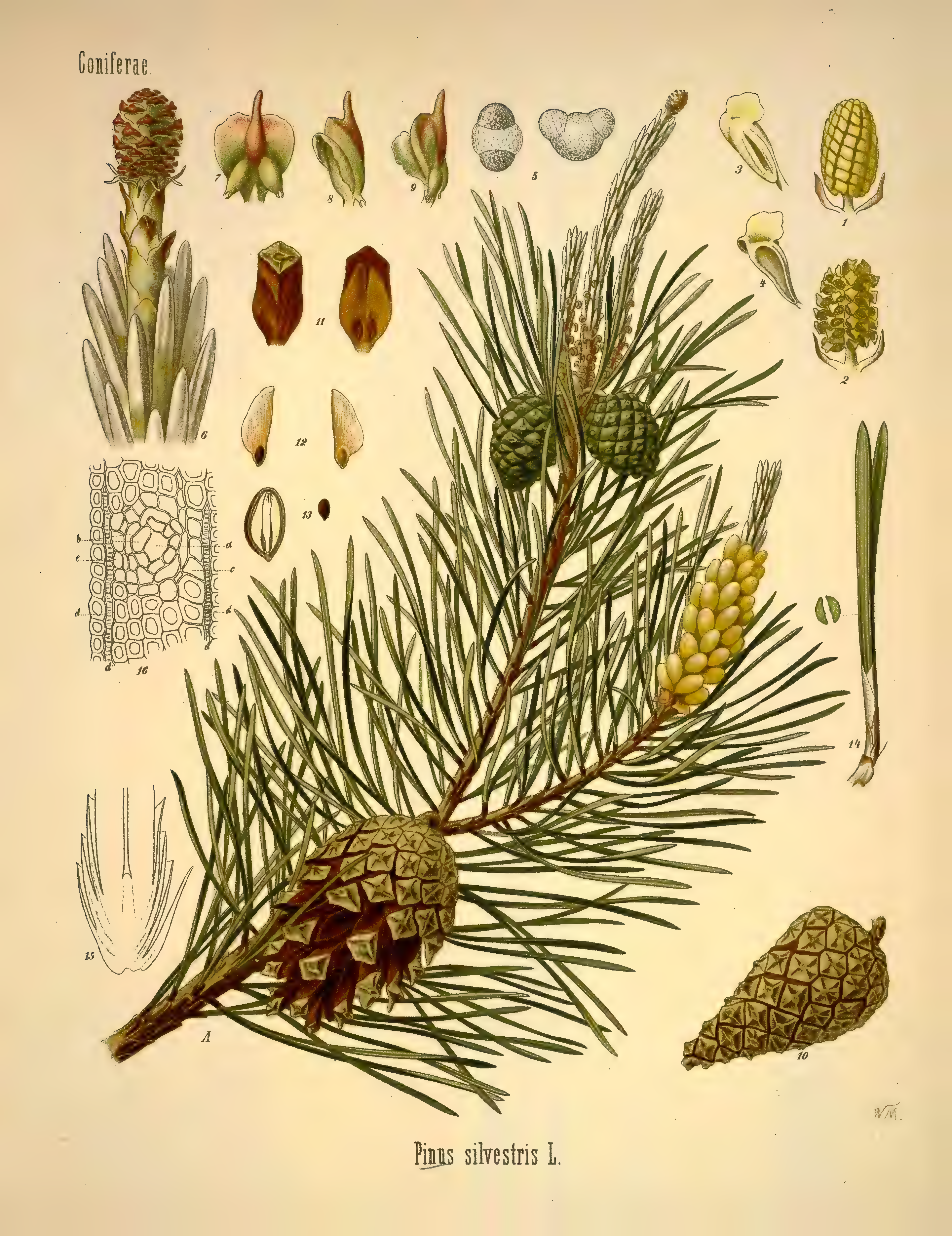 mobot31753002839139-1_page_247.png