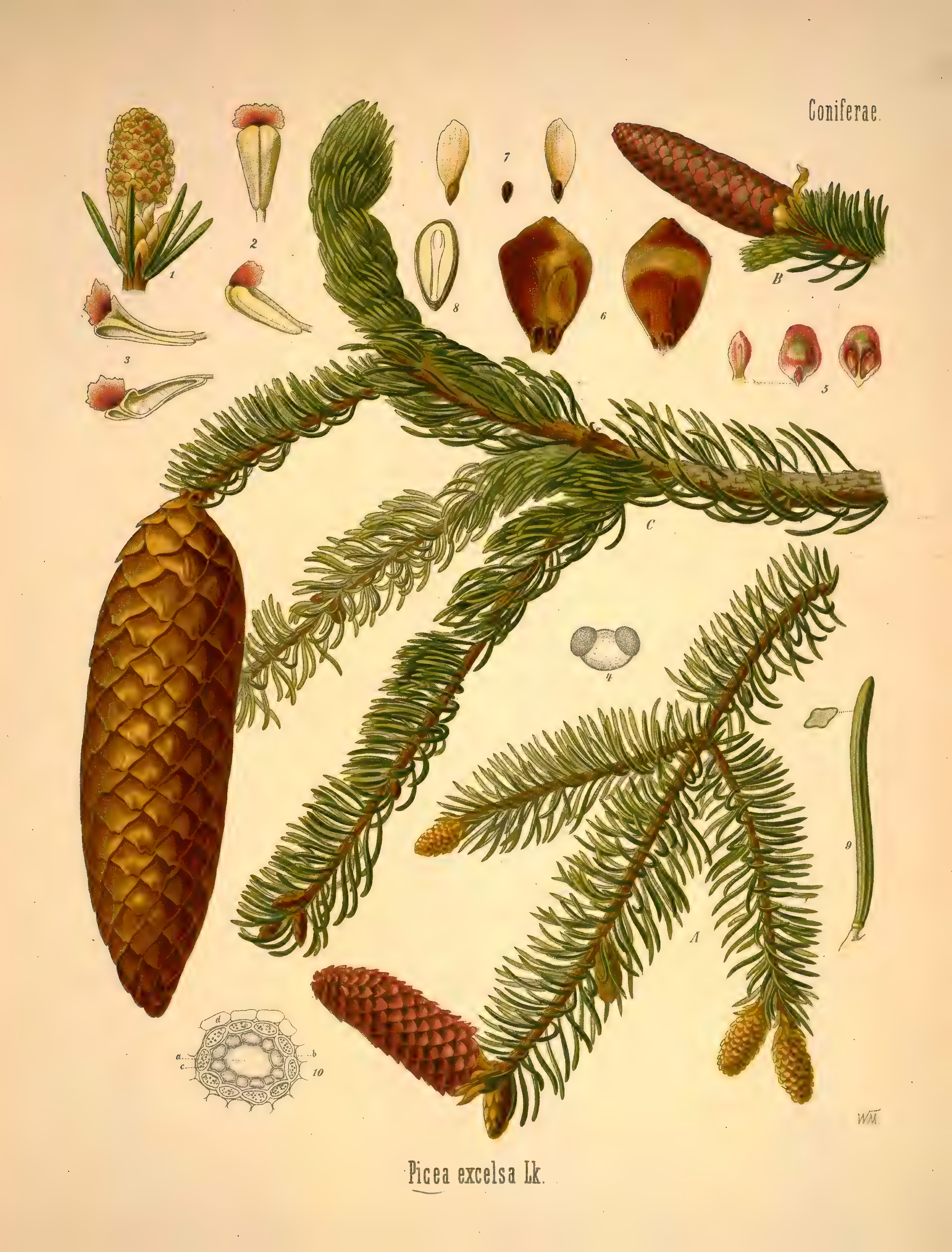 mobot31753002839139-1_page_249.png